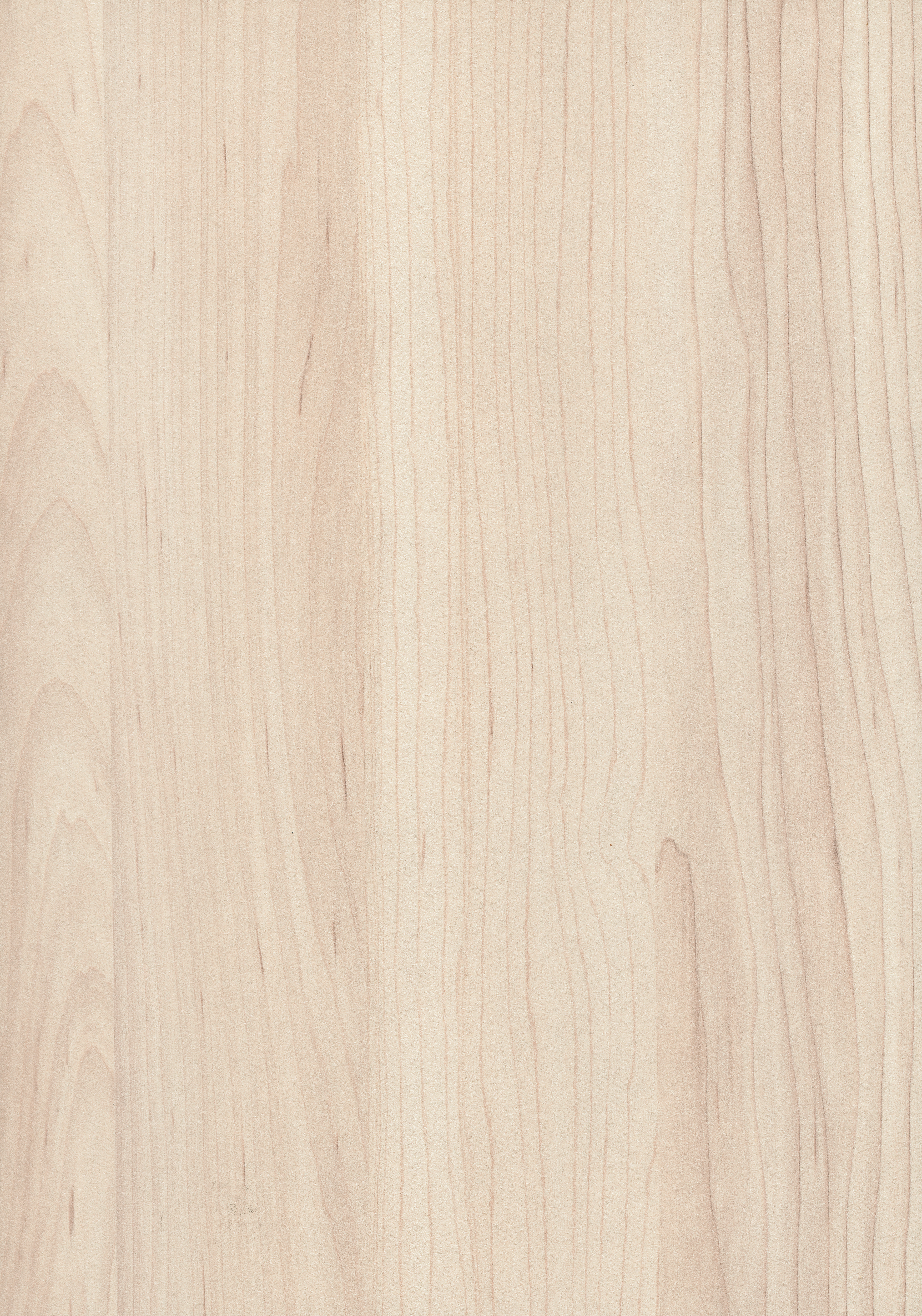 Egger Champagne Hard Maple H3860 ST9 HPL surface pattern
