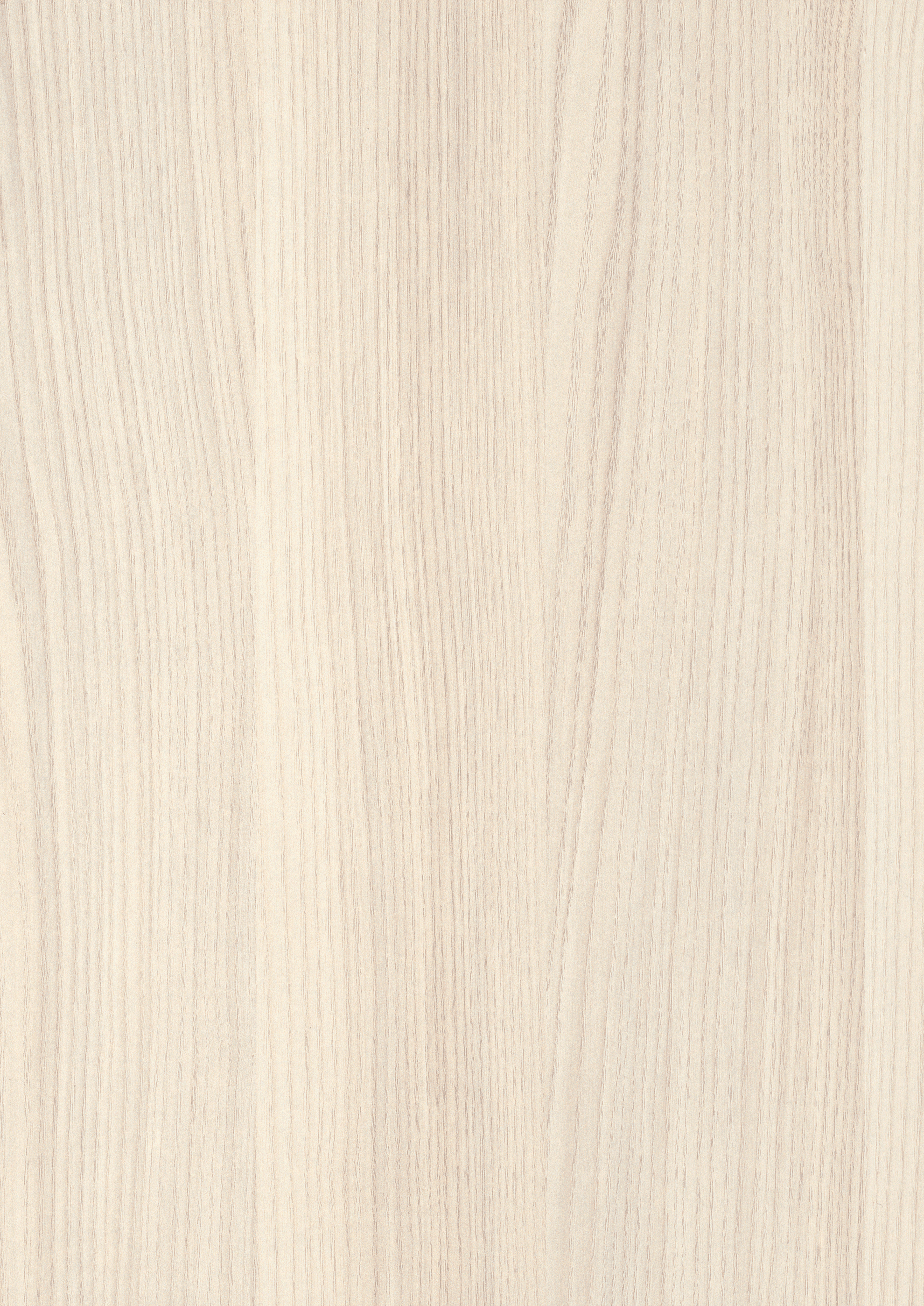 Egger Sevilla Ash H1223 ST19 HPL surface pattern