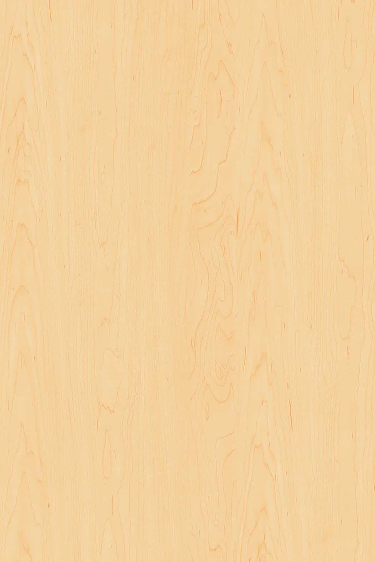 Kronospan Acero De Cucina 2423 TFL surface pattern