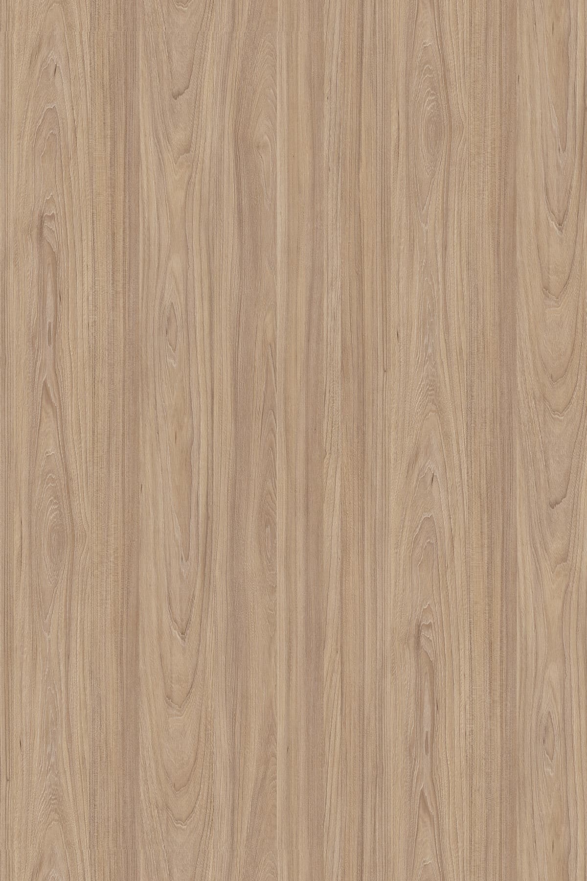 Kronospan Natural Noble Elm 5500 TFL surface pattern