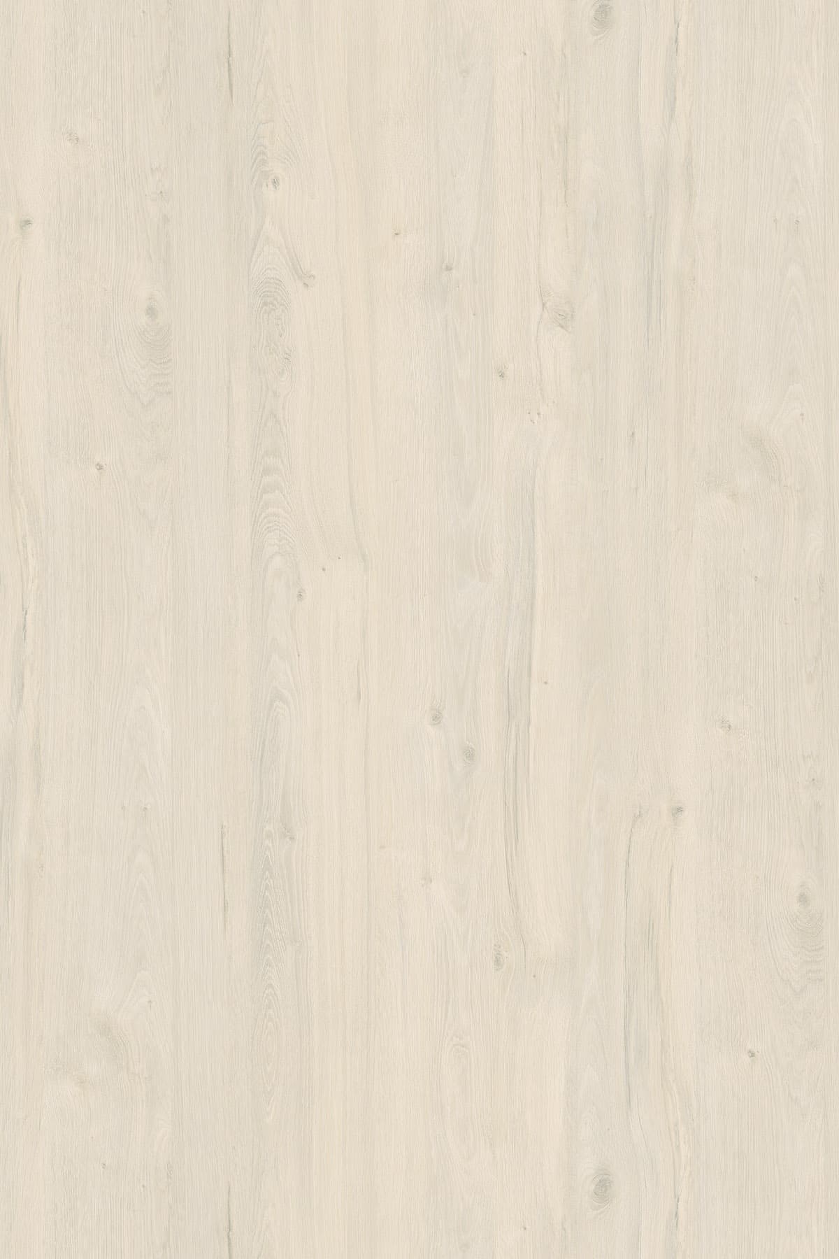 Kronospan White Coastland Oak K080 TFL surface pattern