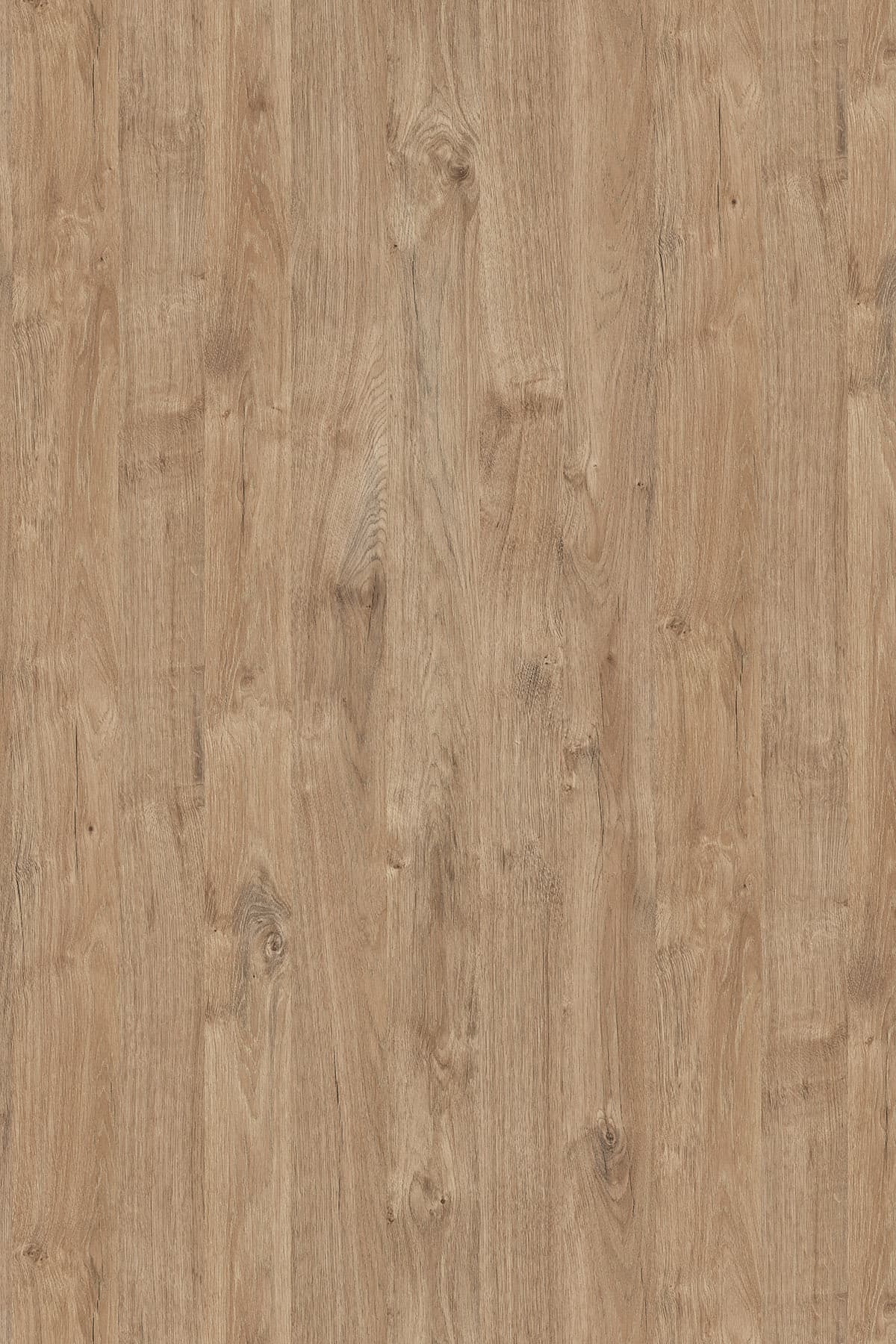 Kronospan Gold Harbor Oak K361 TFL surface pattern