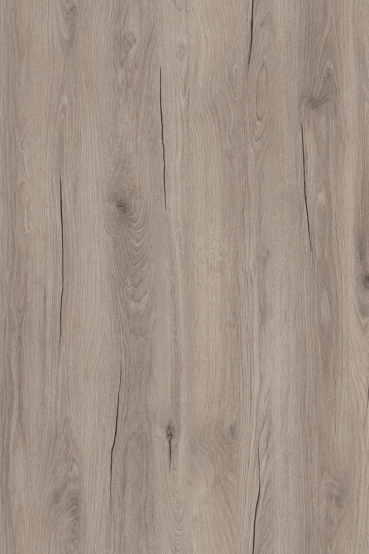 Kronospan Cashmere Hudson Oak K528 TFL surface pattern
