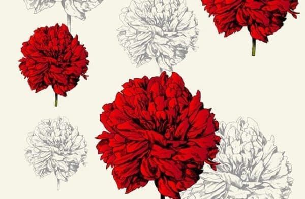 Panolam Carnation DG0029 HPL surface pattern