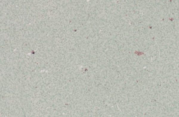 Panolam Papier Lune PR5001 HPL surface pattern