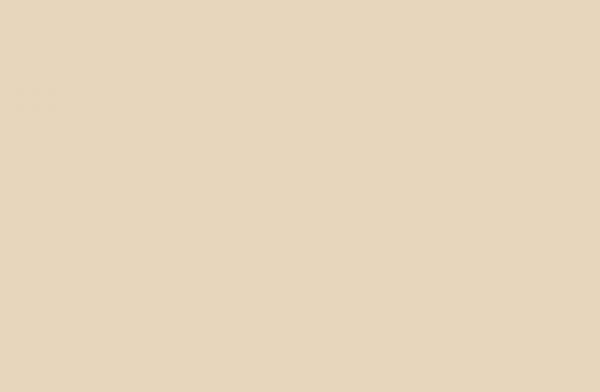 Panolam Beige S-2019 HPL surface pattern