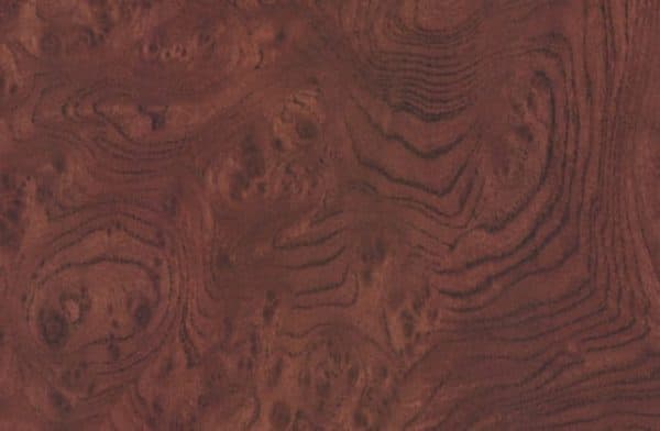 Panolam Galloway Burl WZ0017 HPL surface pattern