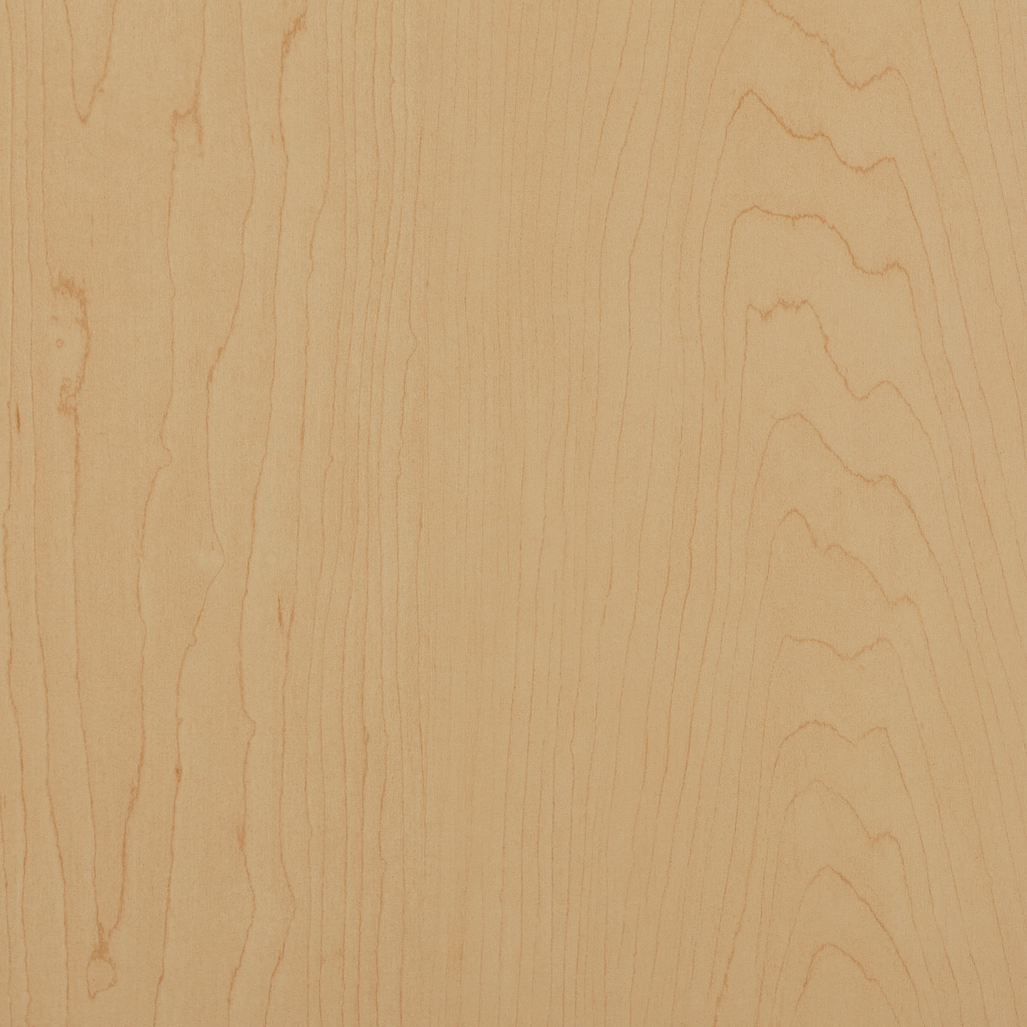 Tafisa Hardrock Maple L303 (C) TFL surface pattern