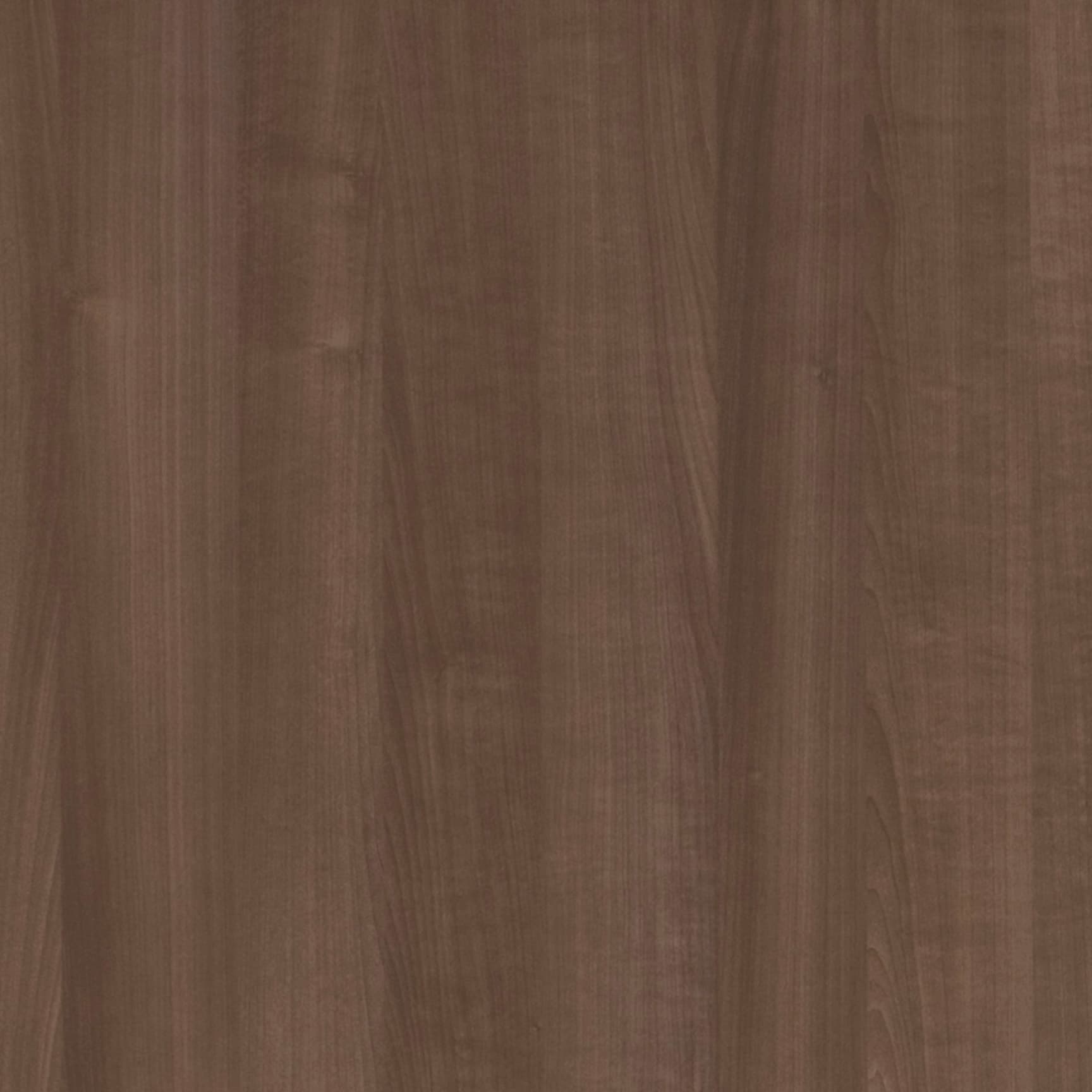 Tafisa Antigua L498 (S) TFL surface pattern