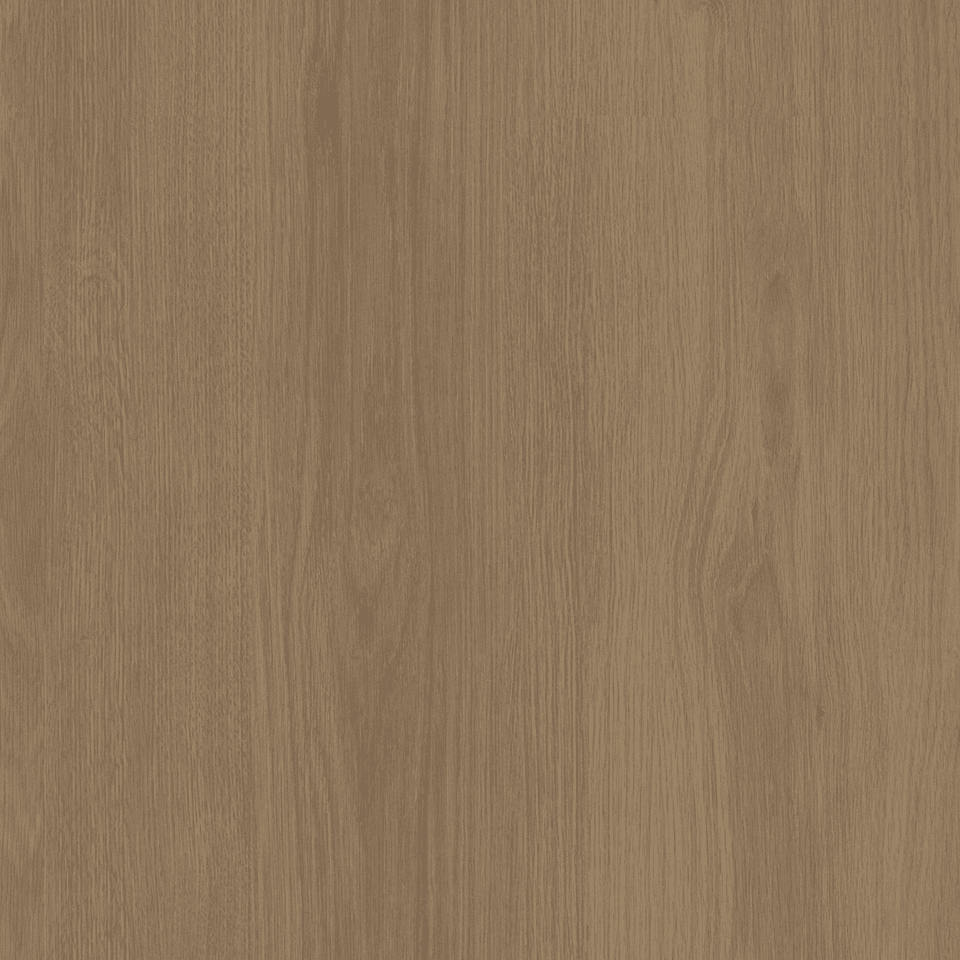 Tafisa Prodigy M2064 (Q) TFL surface pattern