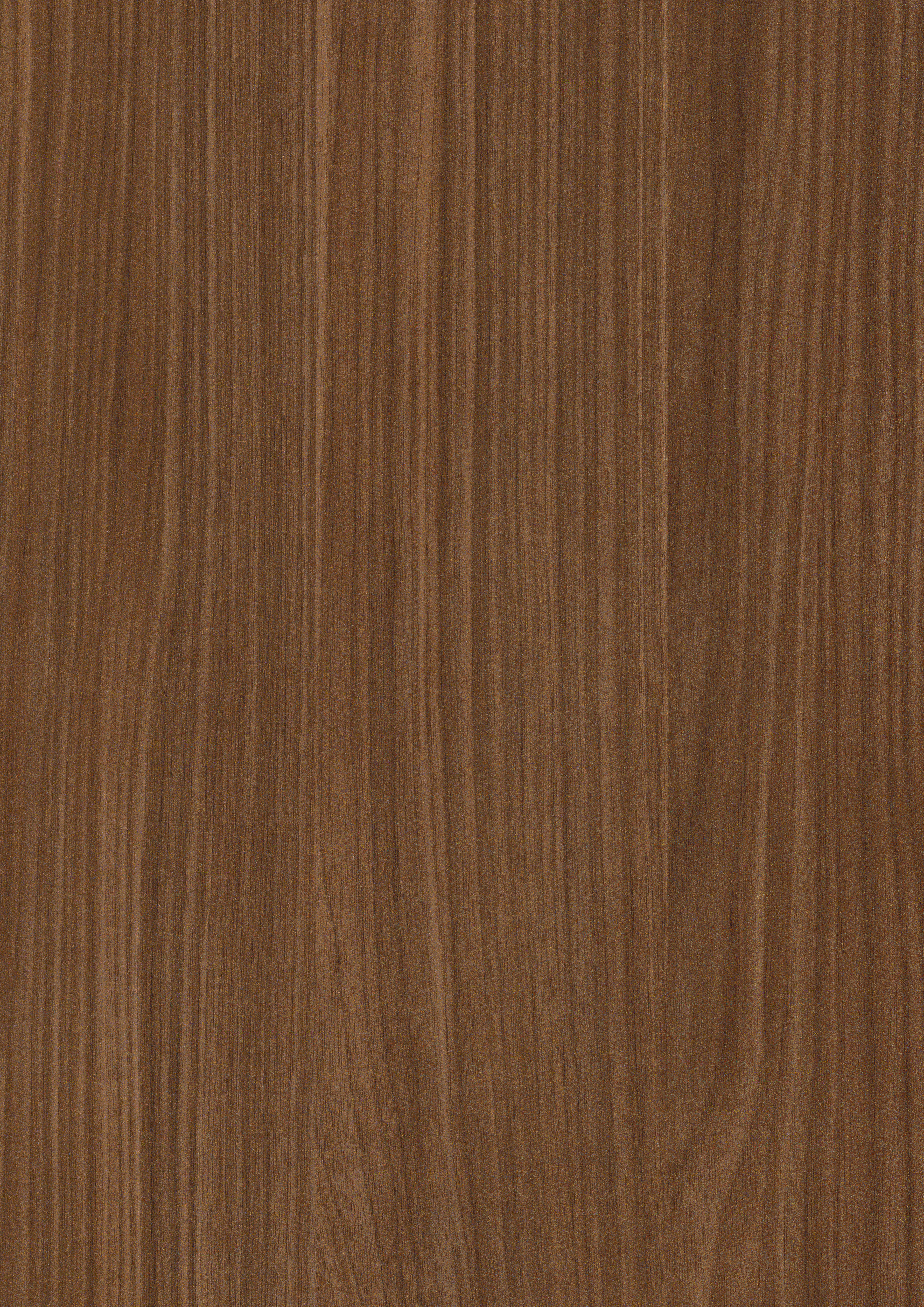 Egger Lincoln Walnut H1714 ST19 HPL surface pattern