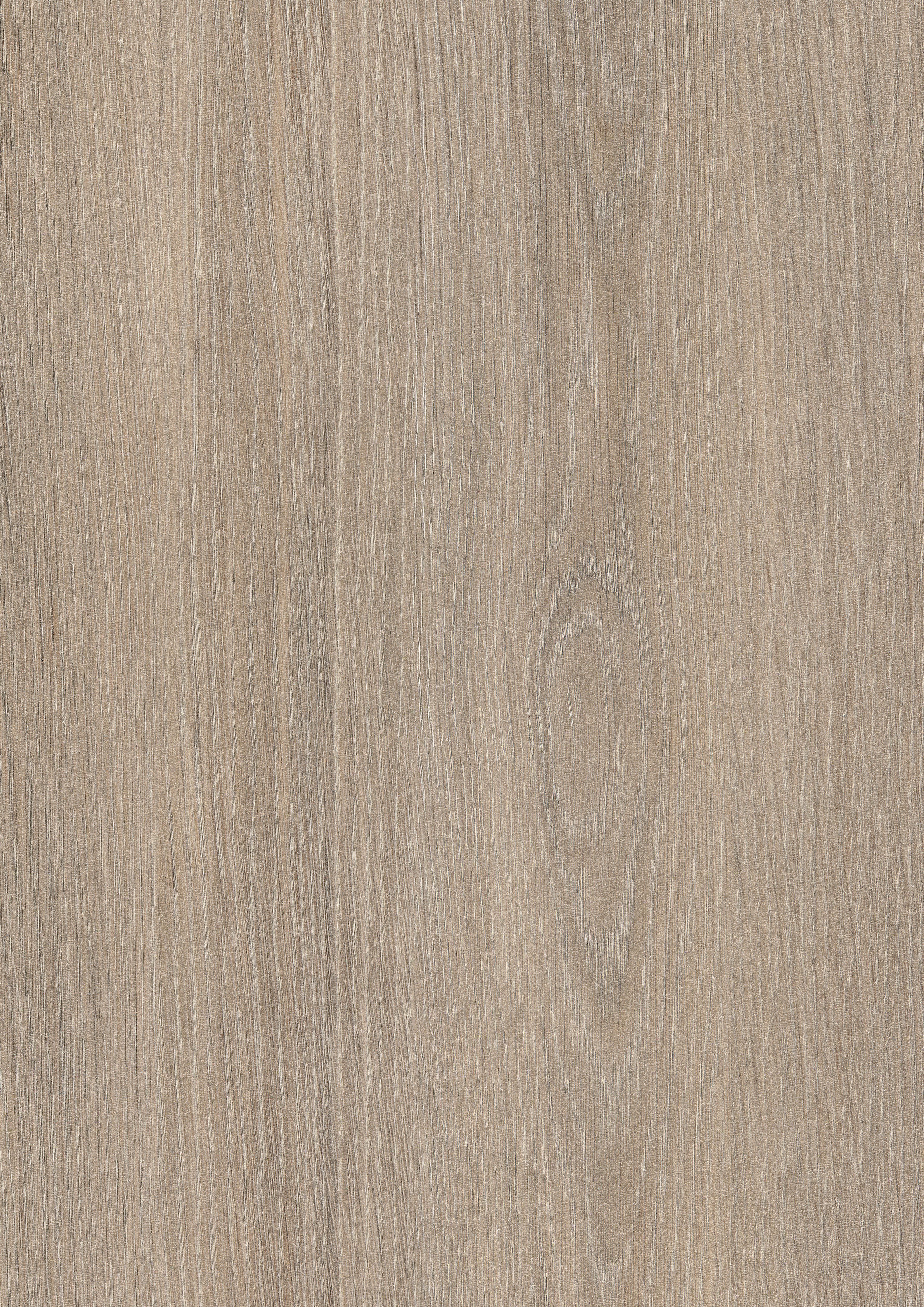 Egger Beige Grey Lorenzo Oak H3146 ST19 HPL surface pattern