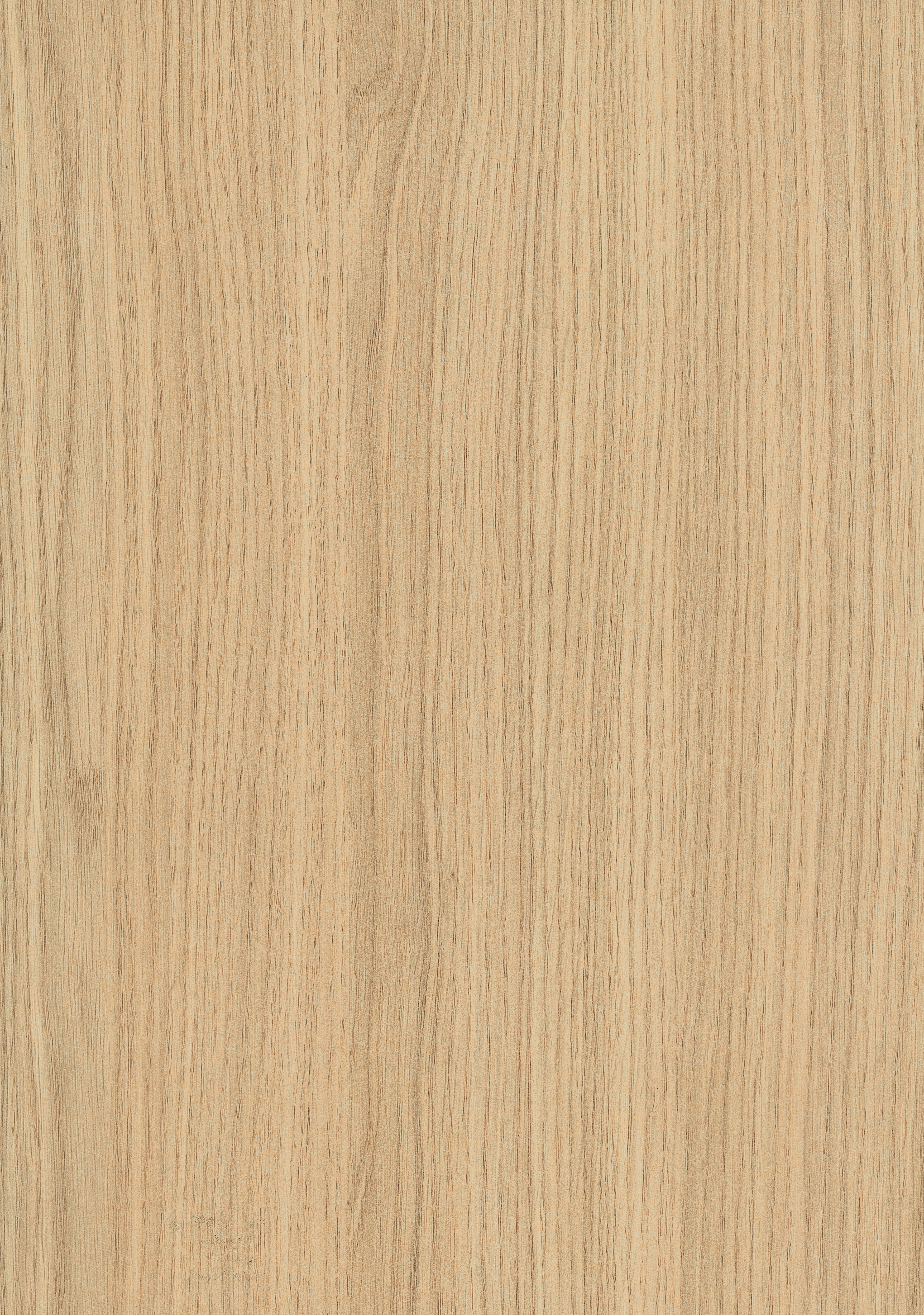 Egger Vicenza Oak H3157 ST12 HPL surface pattern