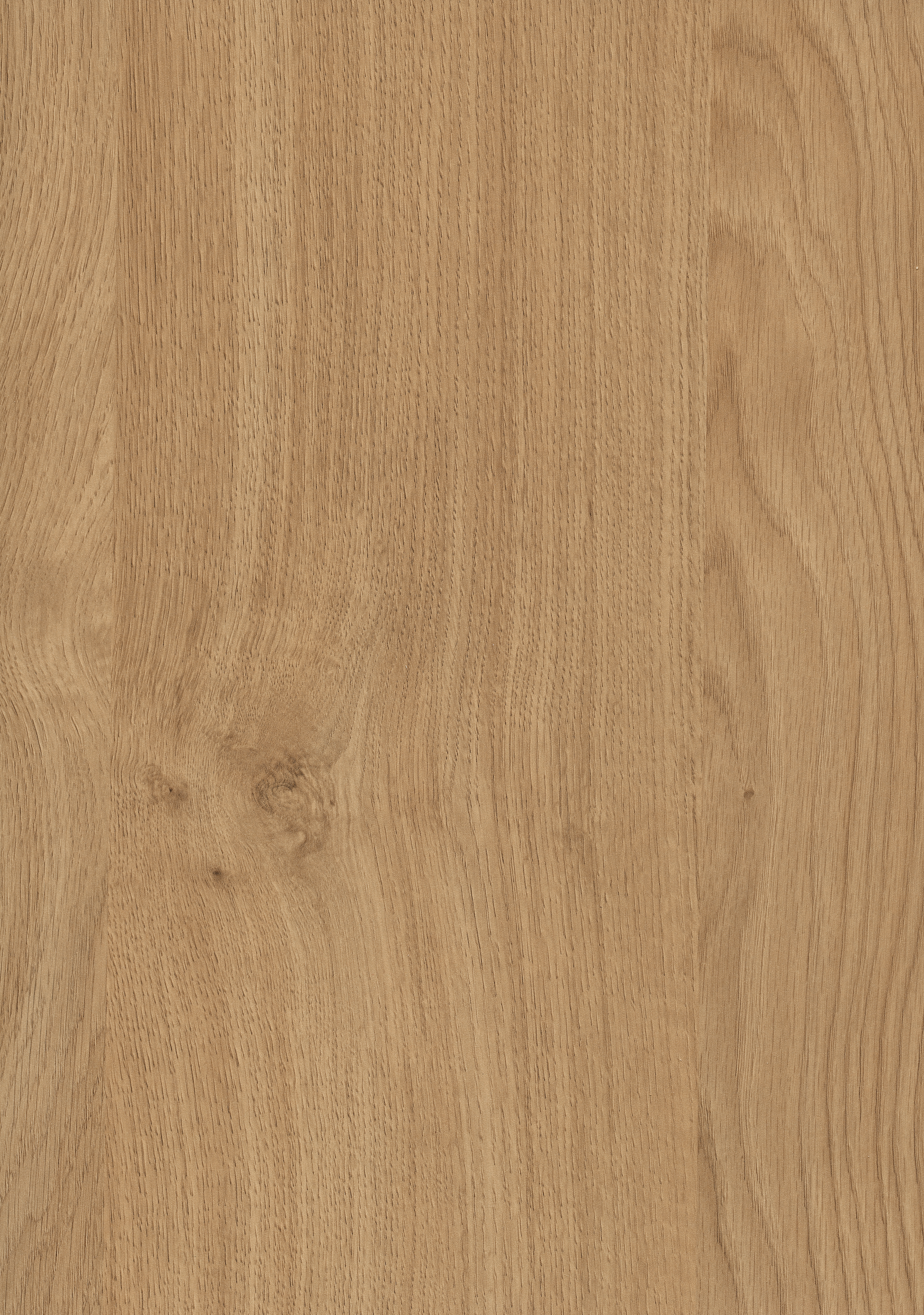 Egger Oiled Kendal Oak H3171 ST12 HPL surface pattern