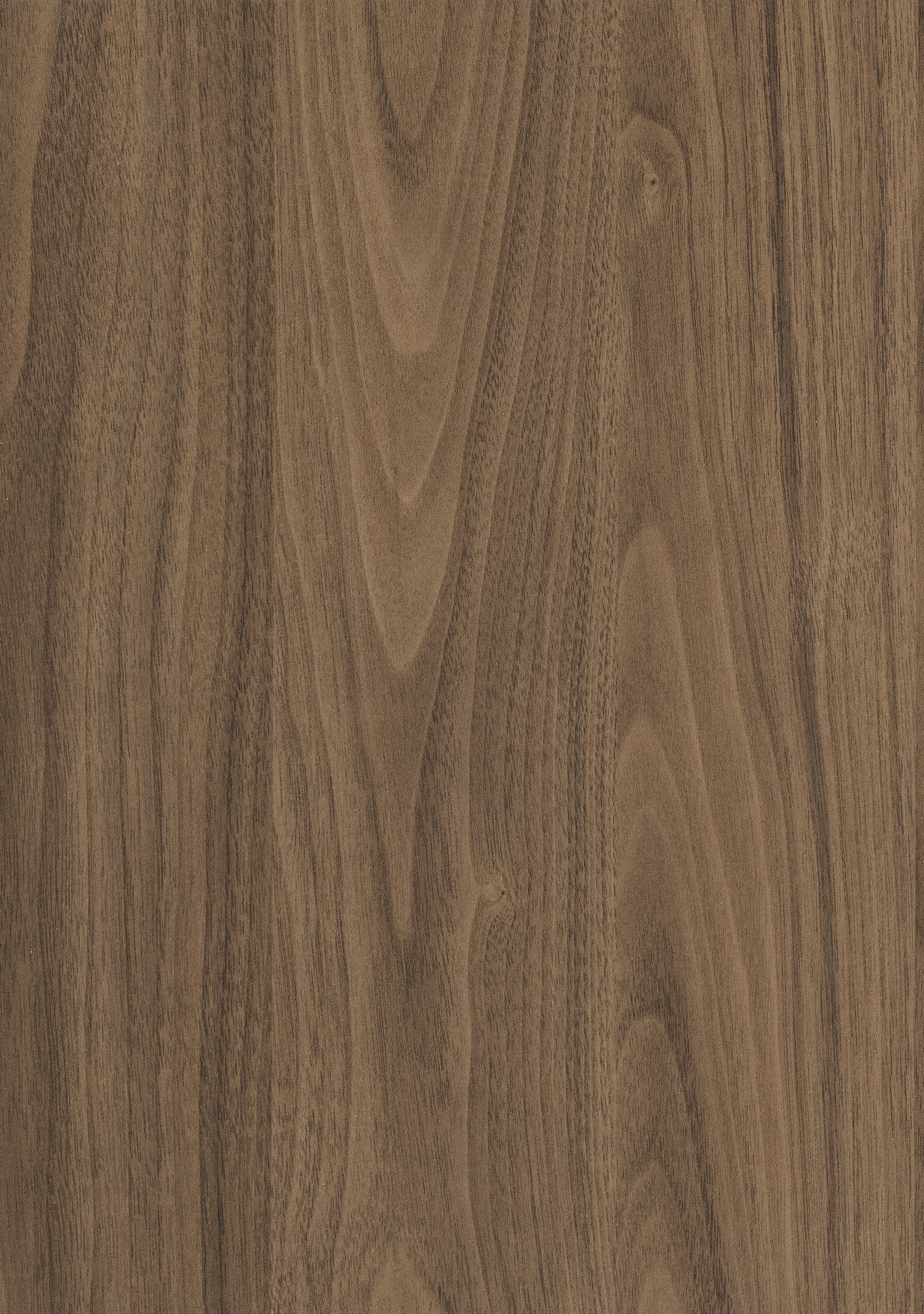Egger Natural Carini Walnut H3710 ST12 HPL surface pattern