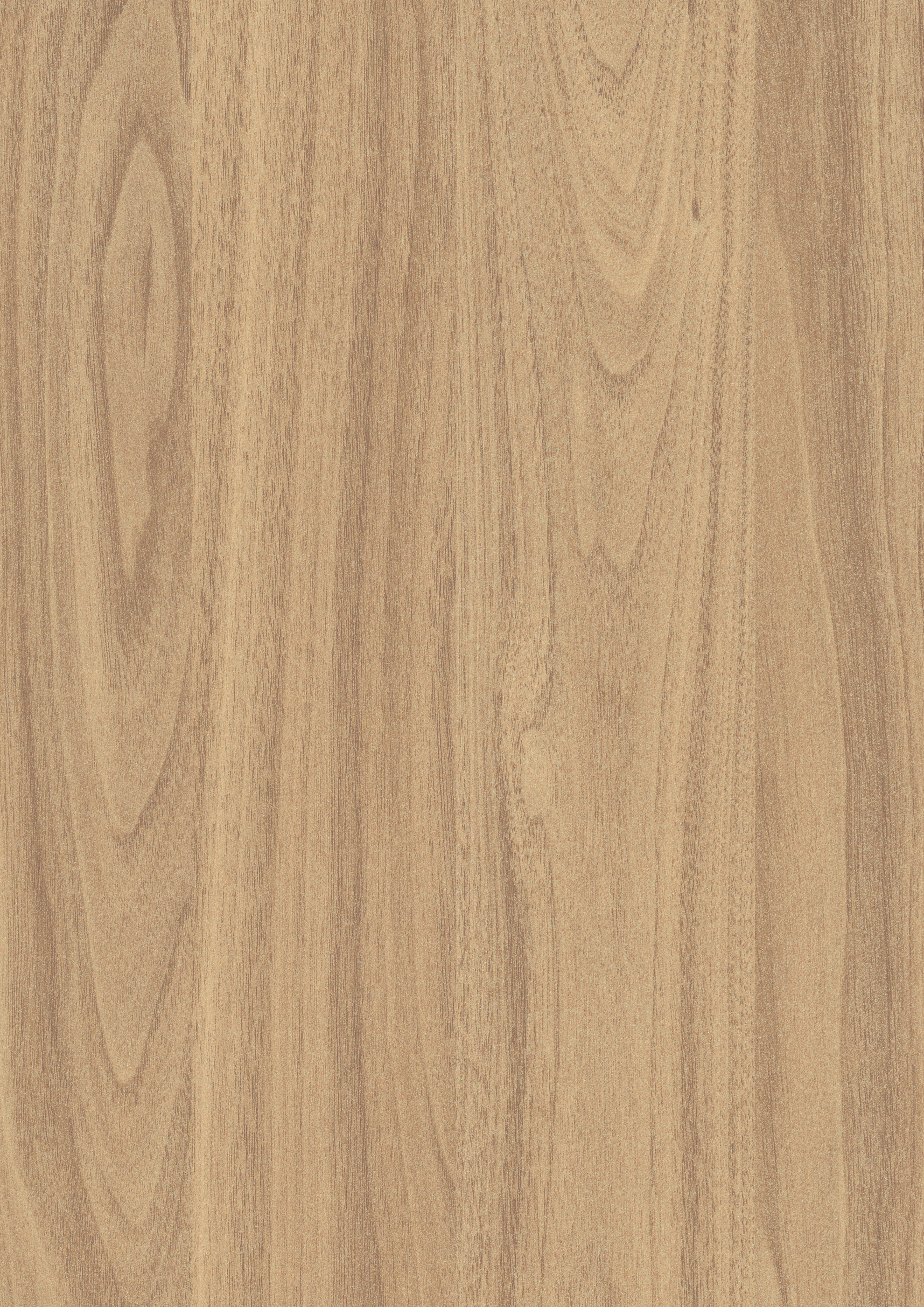 Egger Honey Carini Walnut H3790 ST12 HPL surface pattern