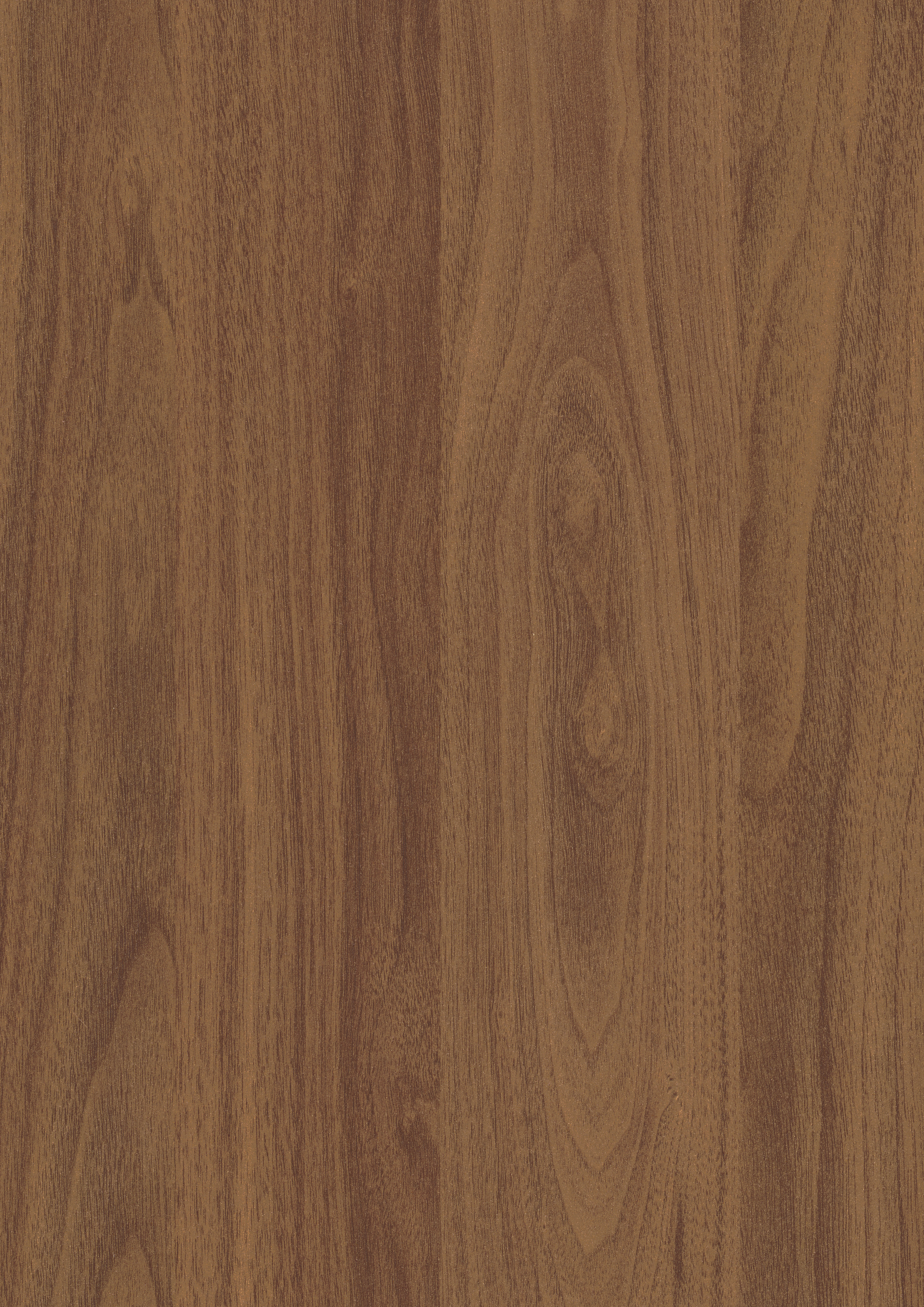Egger Auburn Carini Walnut H3791 ST12 HPL surface pattern