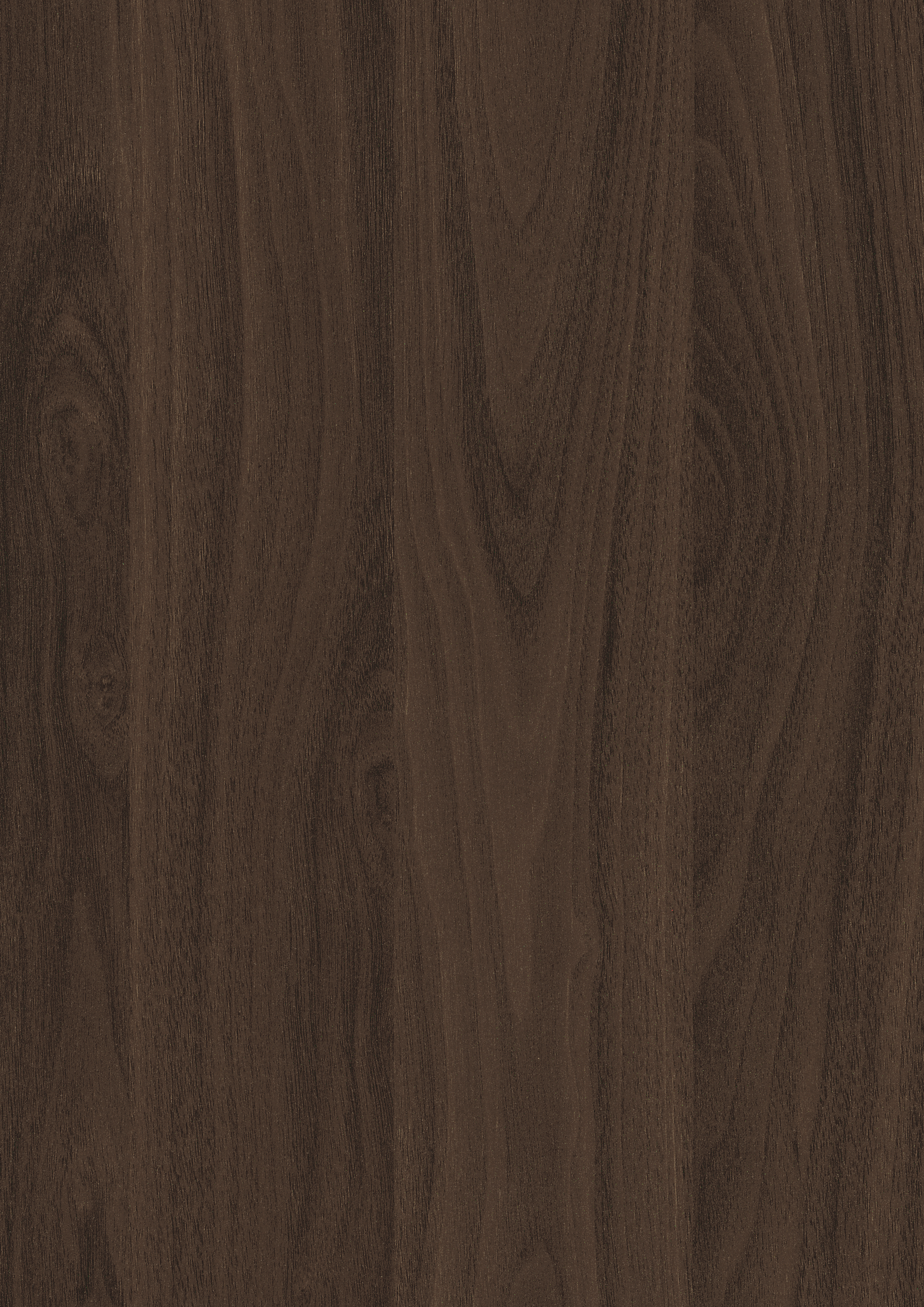 Egger Chocolate Carini Walnut H3794 ST12 HPL surface pattern
