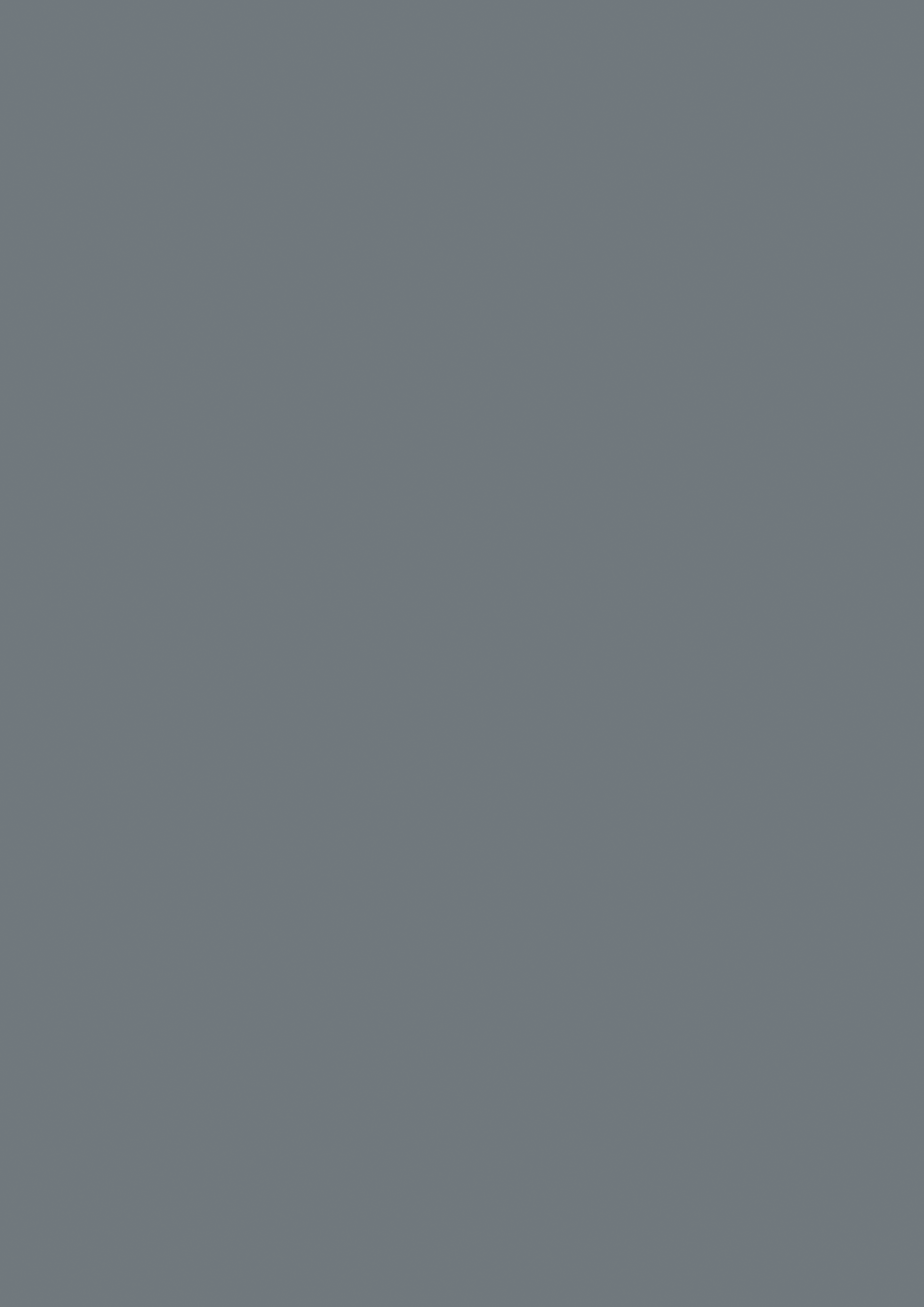 Egger Monument Grey U780 ST9 HPL surface pattern