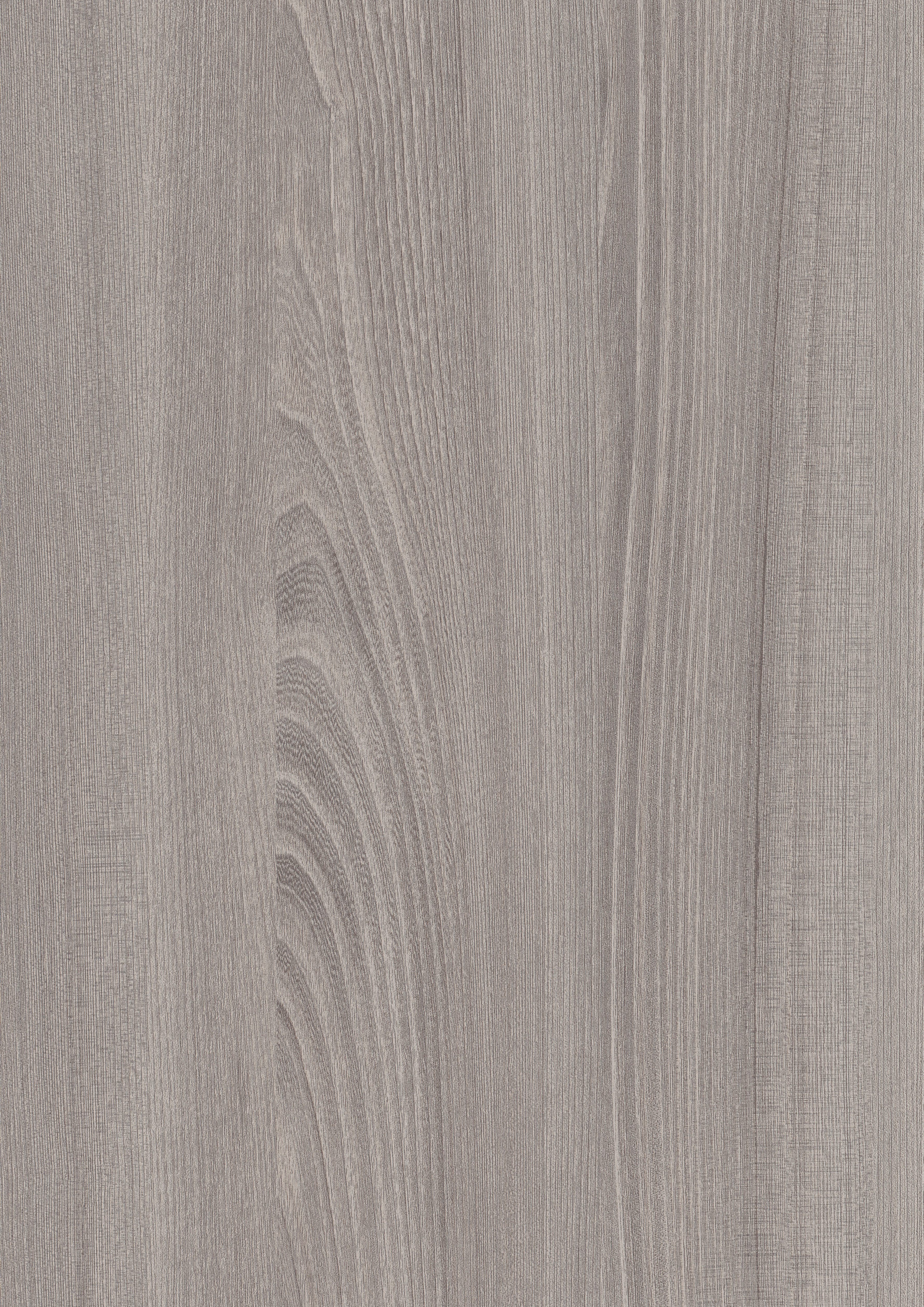 Egger Fox Grey Tossini elm H1222 ST12 HPL surface pattern