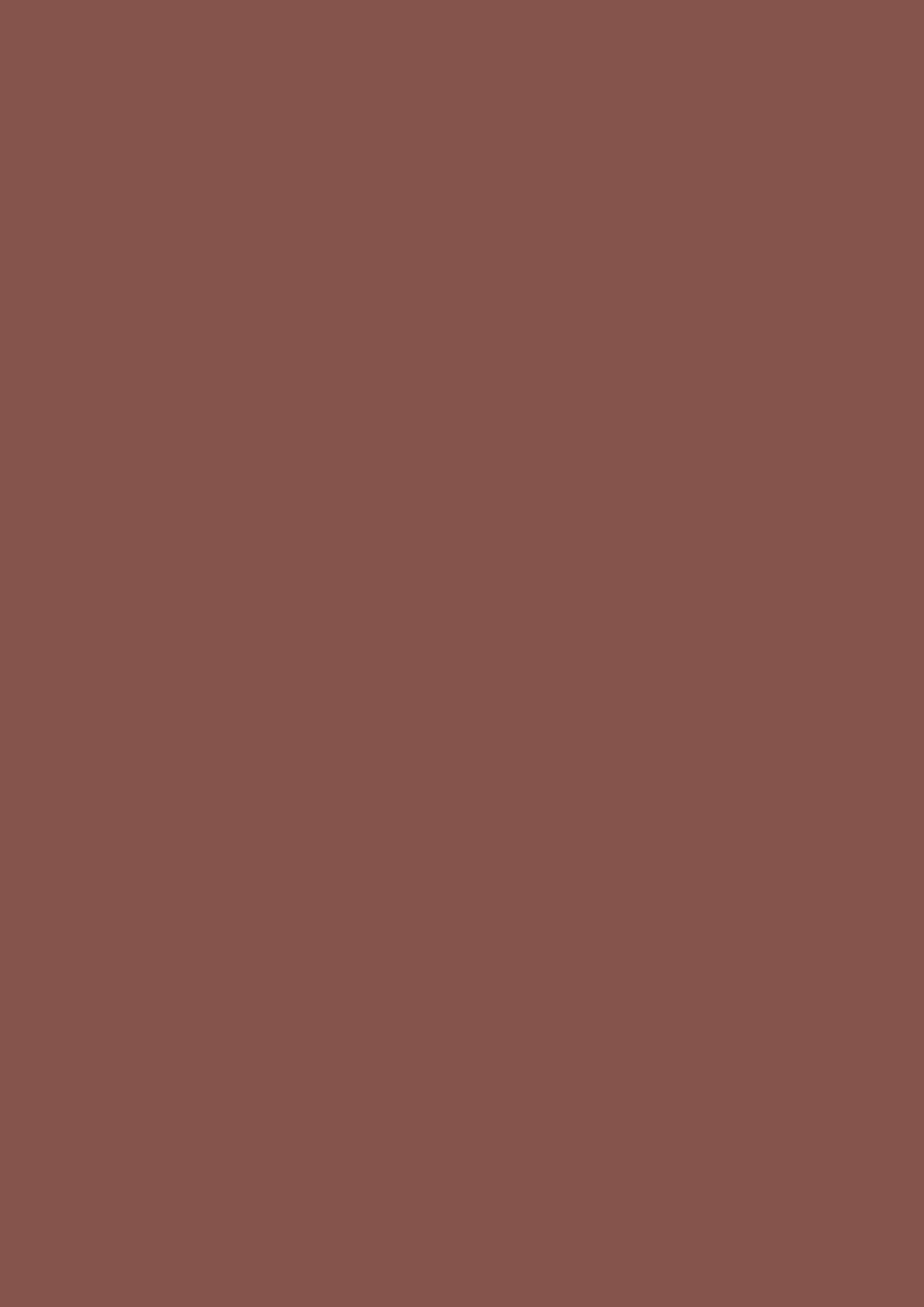 Egger Rusty Red U335 ST9 HPL surface pattern