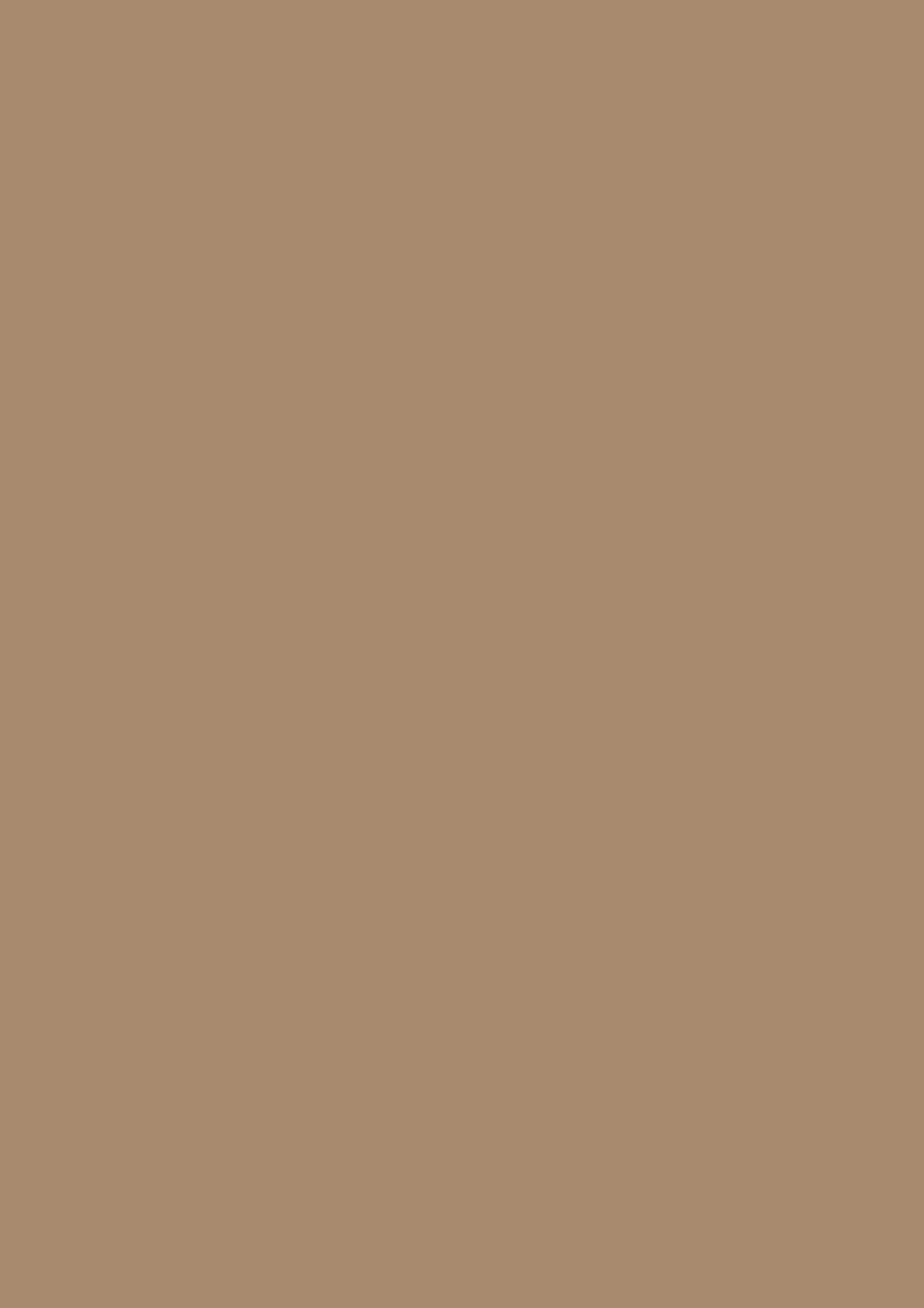 Egger Caramel Beige U250 ST9 HPL surface pattern