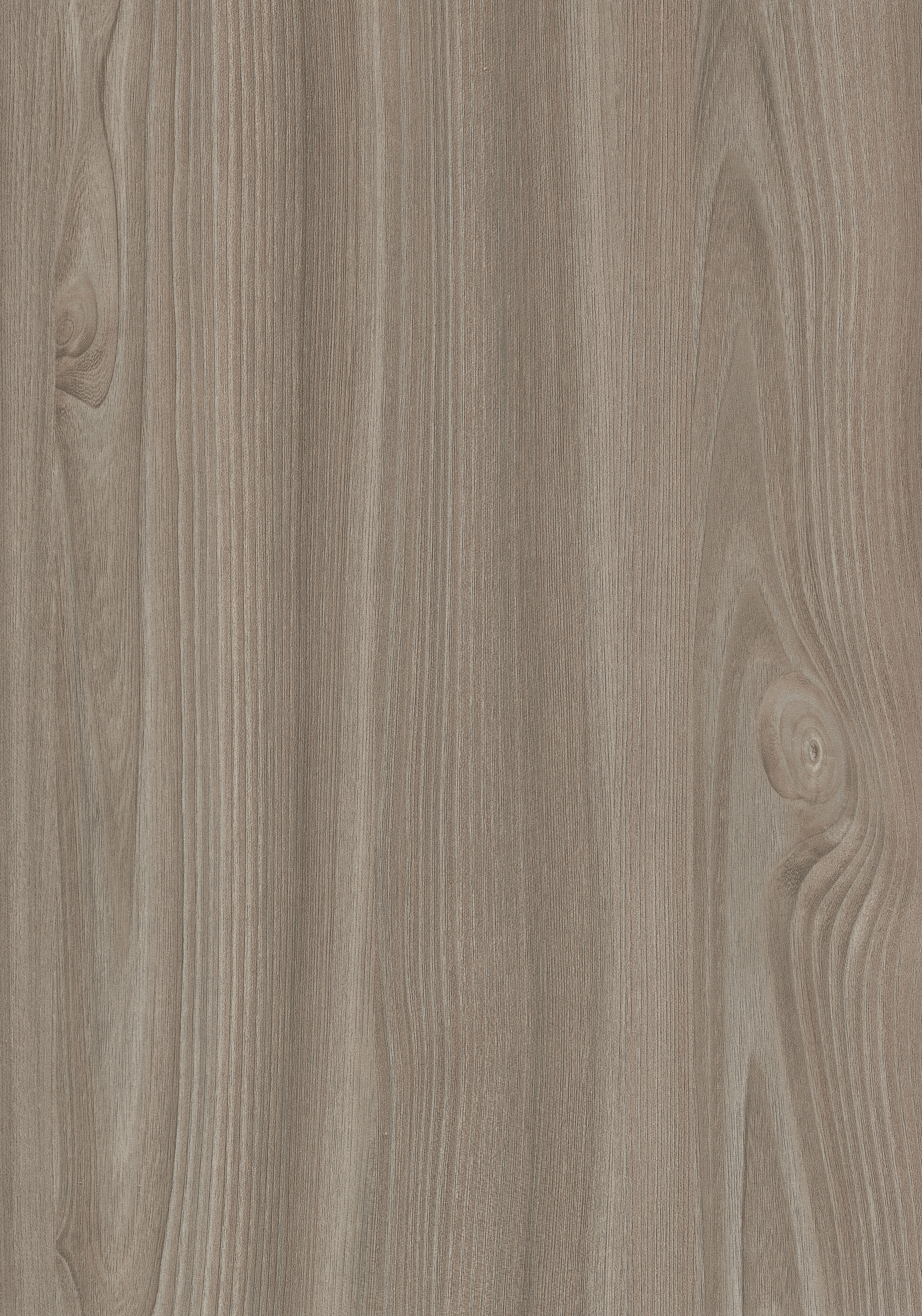 Egger Grey-Beige Tossini Elm H1210 ST12 HPL surface pattern