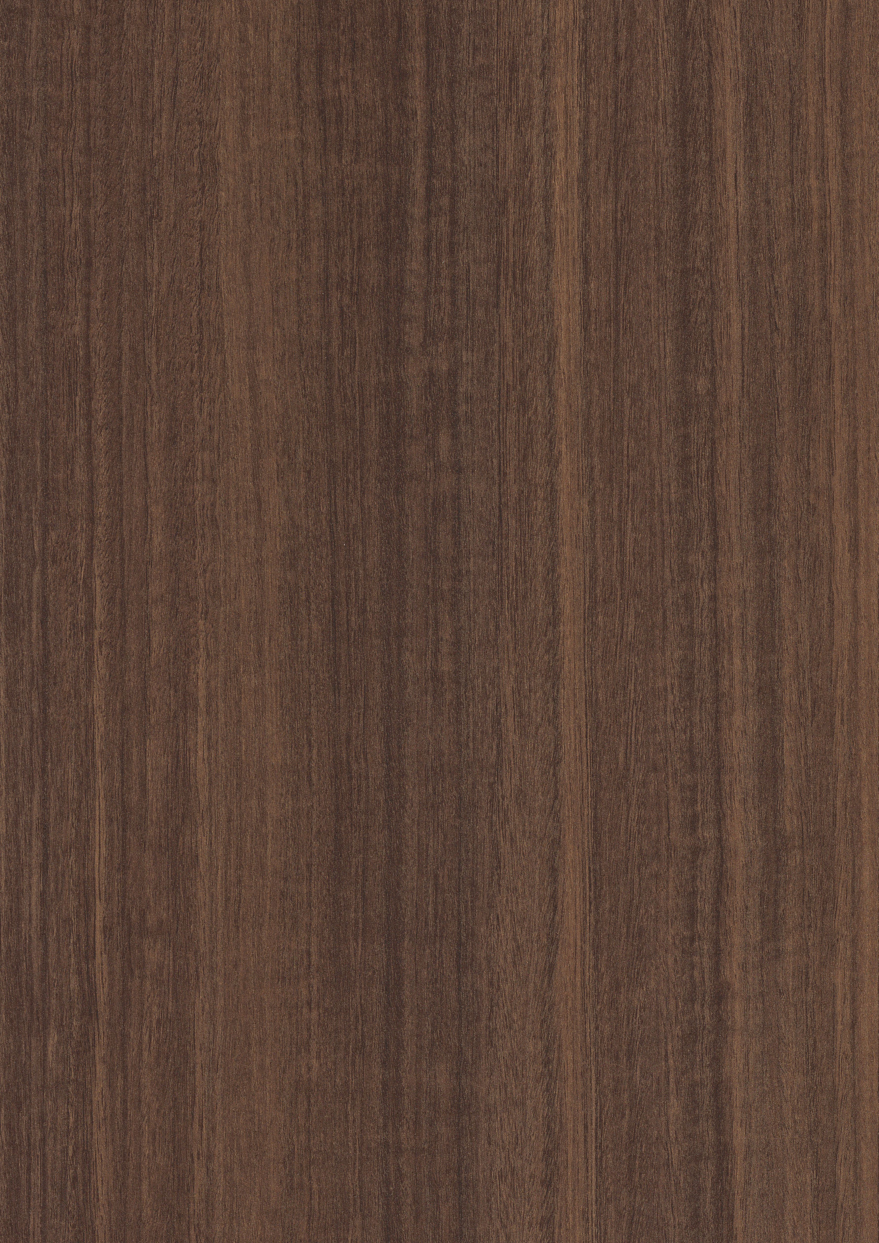 Egger Natural Eucalyptus H3041 ST12 HPL surface pattern