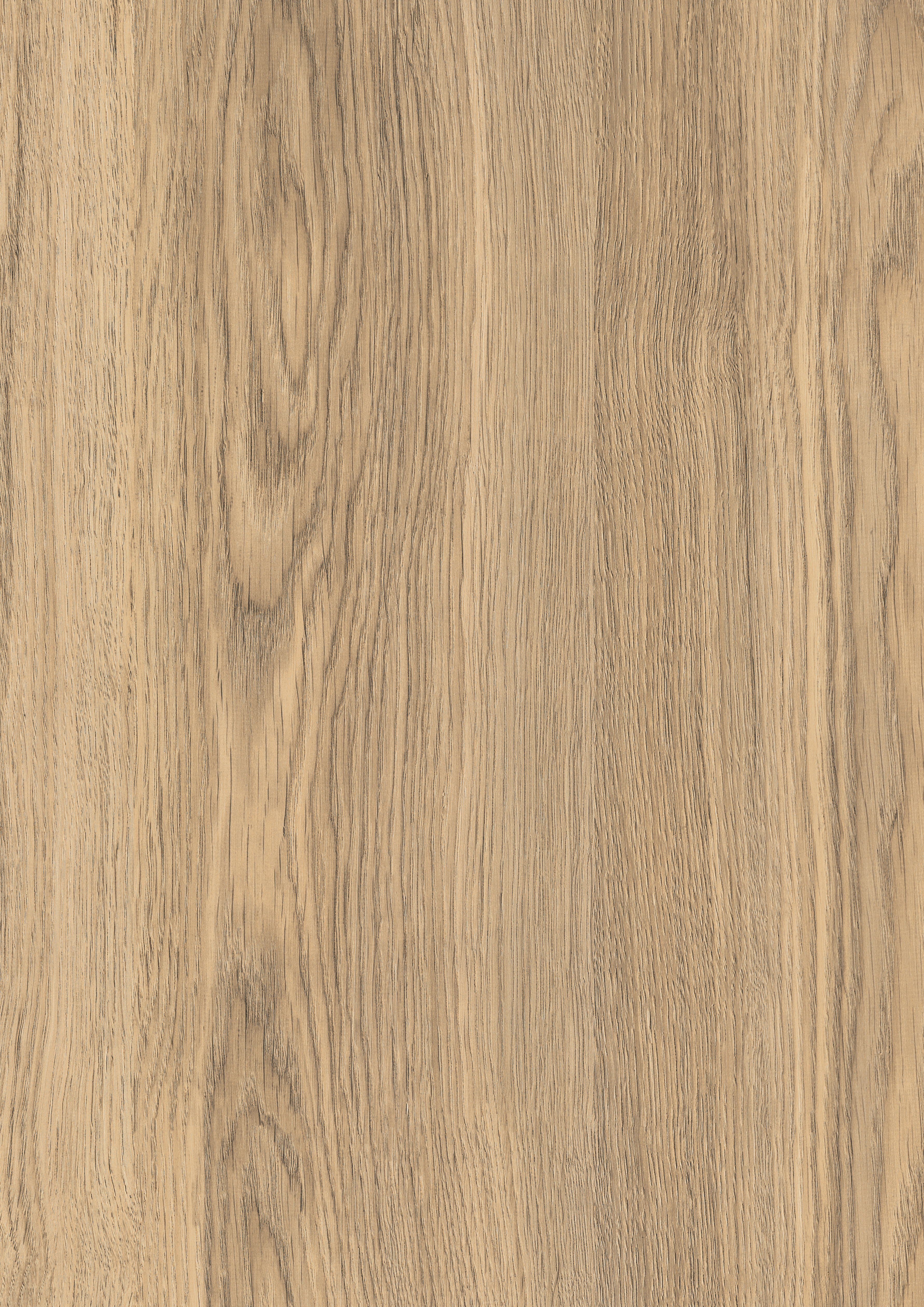 Egger Light Natural Rovato Oak H3322 ST17 HPL surface pattern