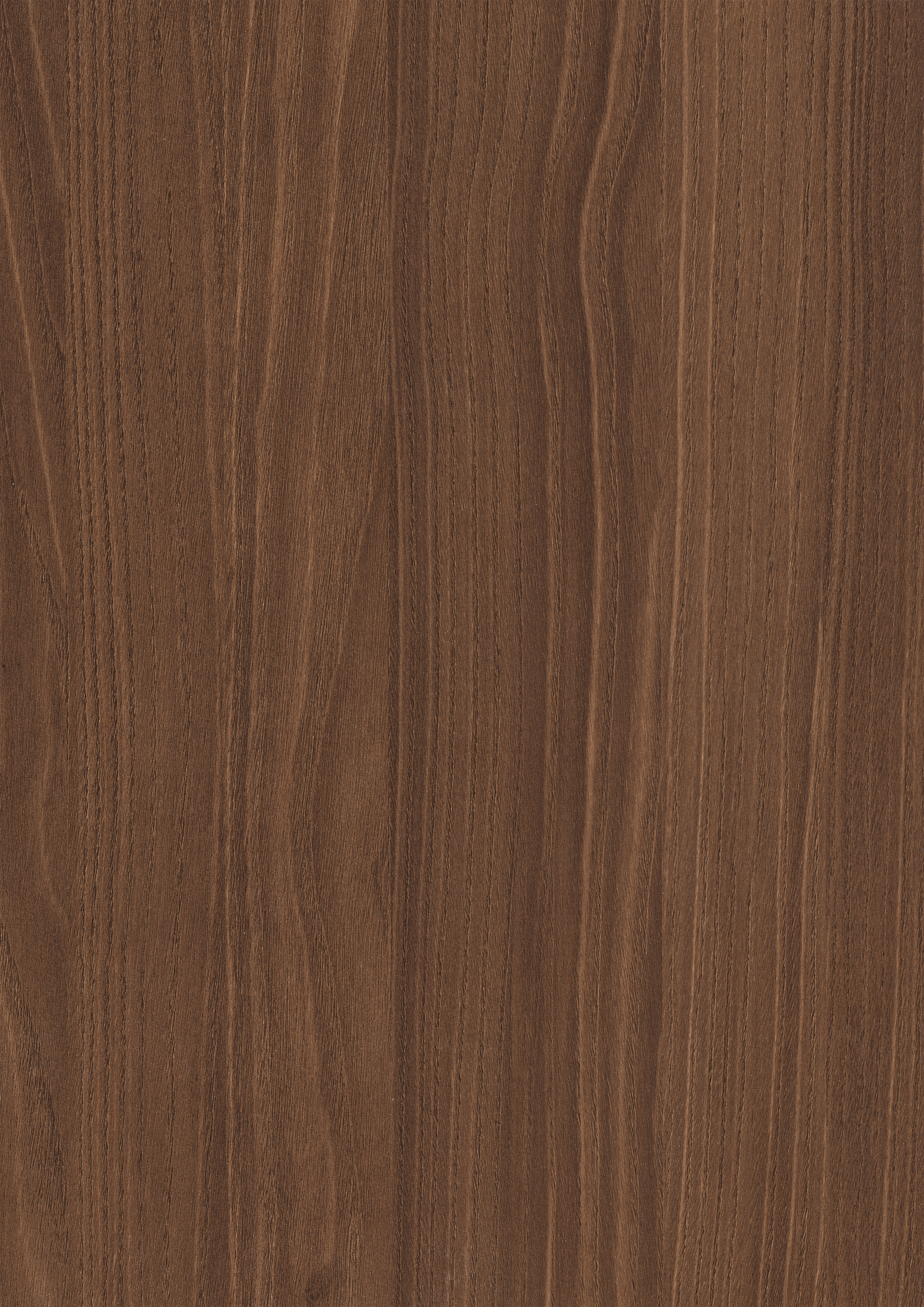 Egger Brown Bolivar Wood H3787 ST19 HPL surface pattern