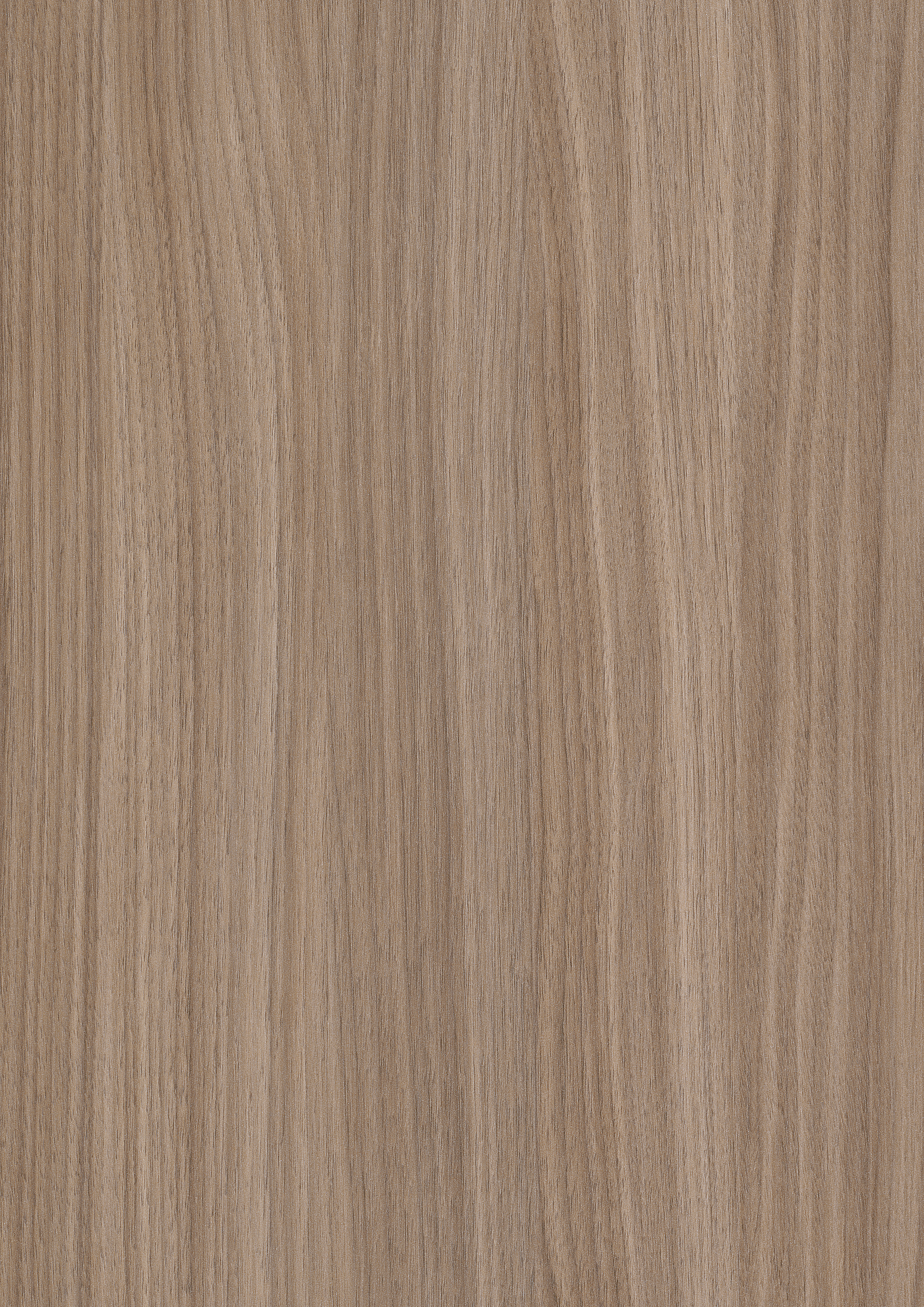 Egger Natural Dimaro Walnut H7604 ST17 HPL surface pattern