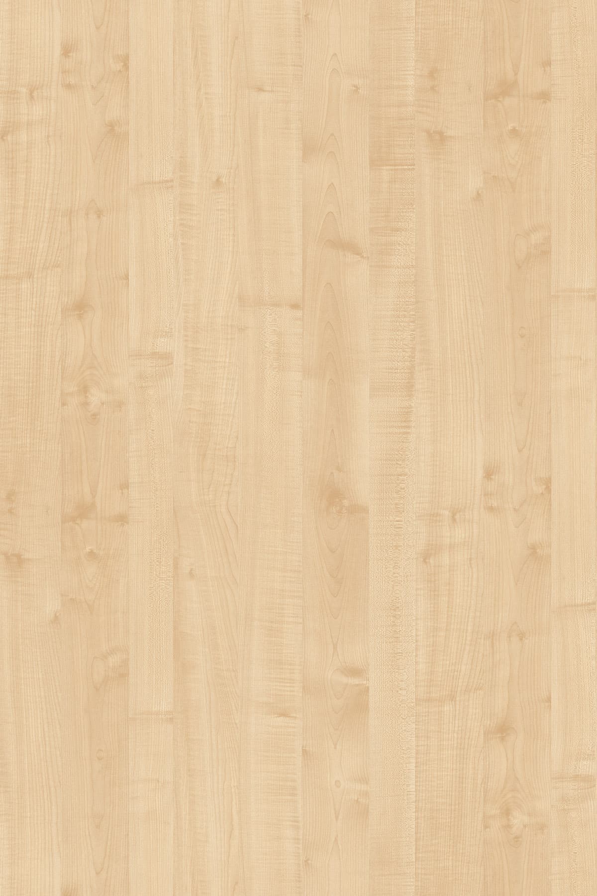 Kronospan Maple 0375 TFL surface pattern