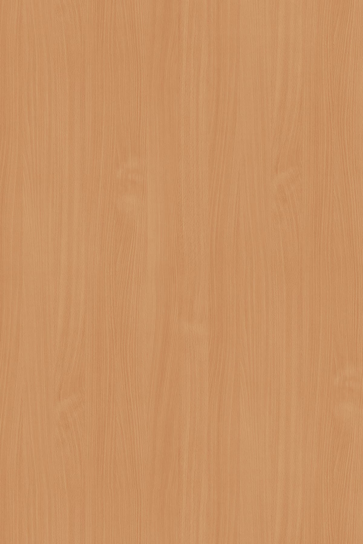 Kronospan Classic Beech 0381 TFL surface pattern