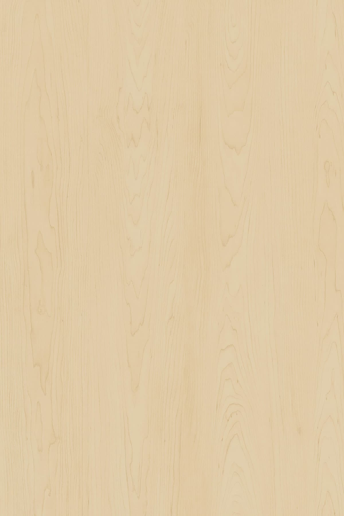 Kronospan Burlington Maple 1549 TFL surface pattern
