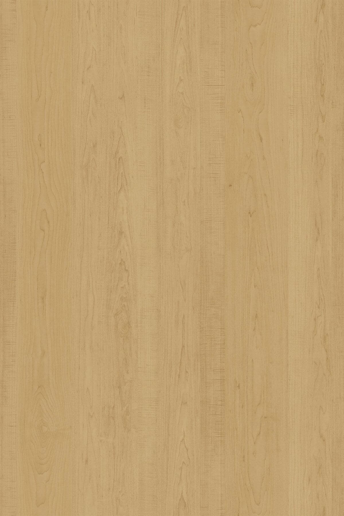 Kronospan Elora Maple 2920 TFL surface pattern