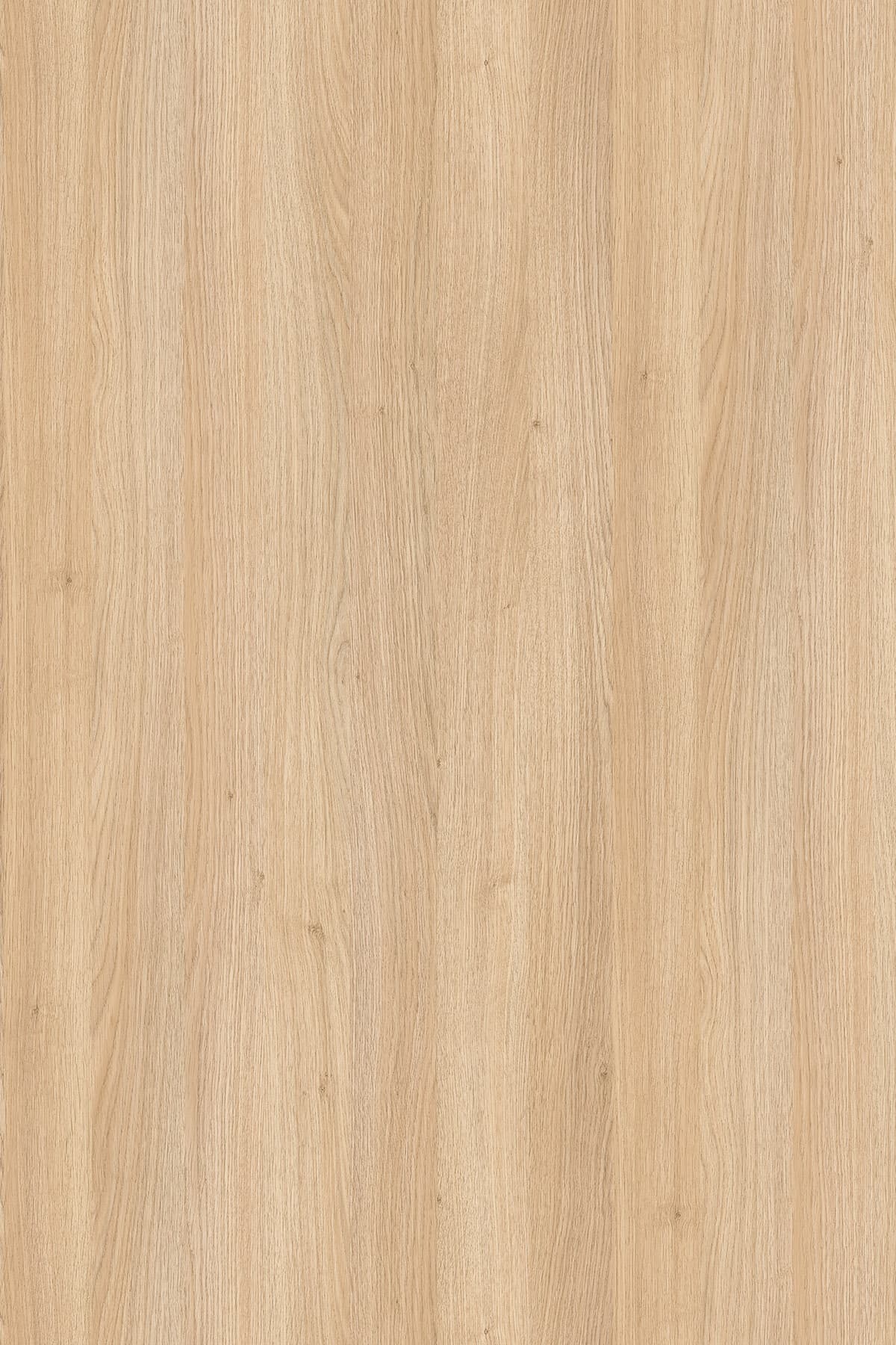 Kronospan Fine Oak 8431 TFL surface pattern