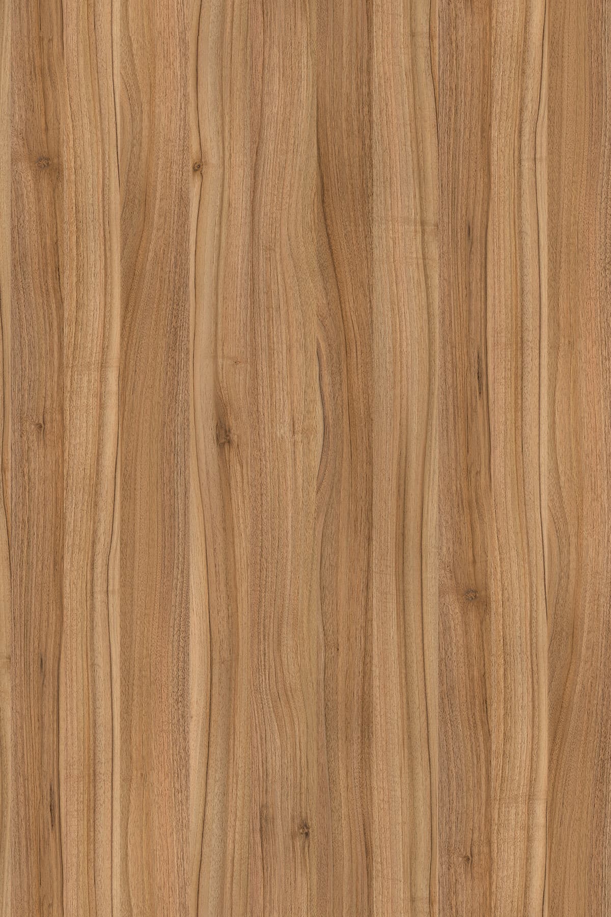 Kronospan Alpine Walnut 9614 TFL surface pattern