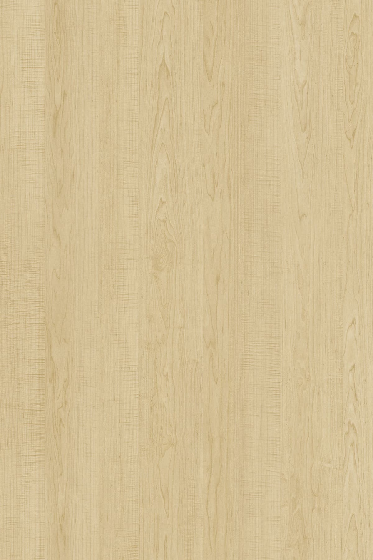 Kronospan Leeds Maple 9646 TFL surface pattern