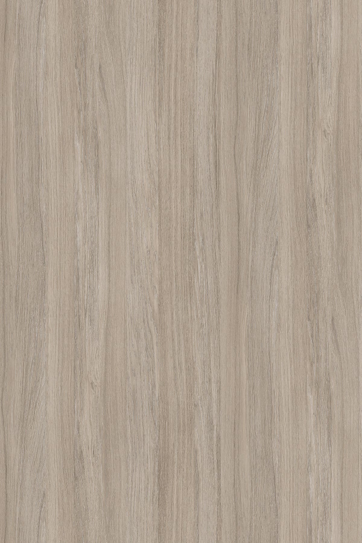 Kronospan Oyster Urban Oak K005 TFL surface pattern
