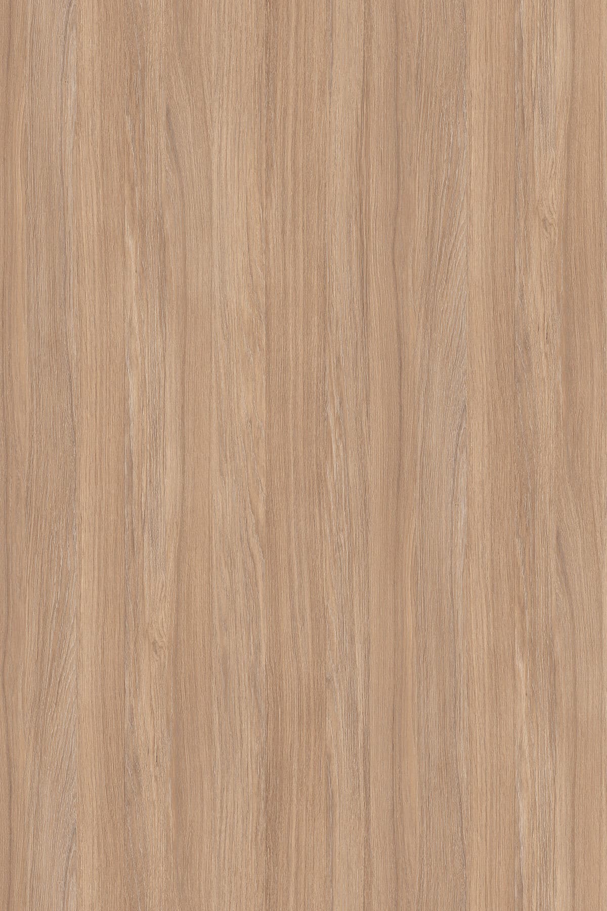Kronospan Amber Urban Oak K006 TFL surface pattern