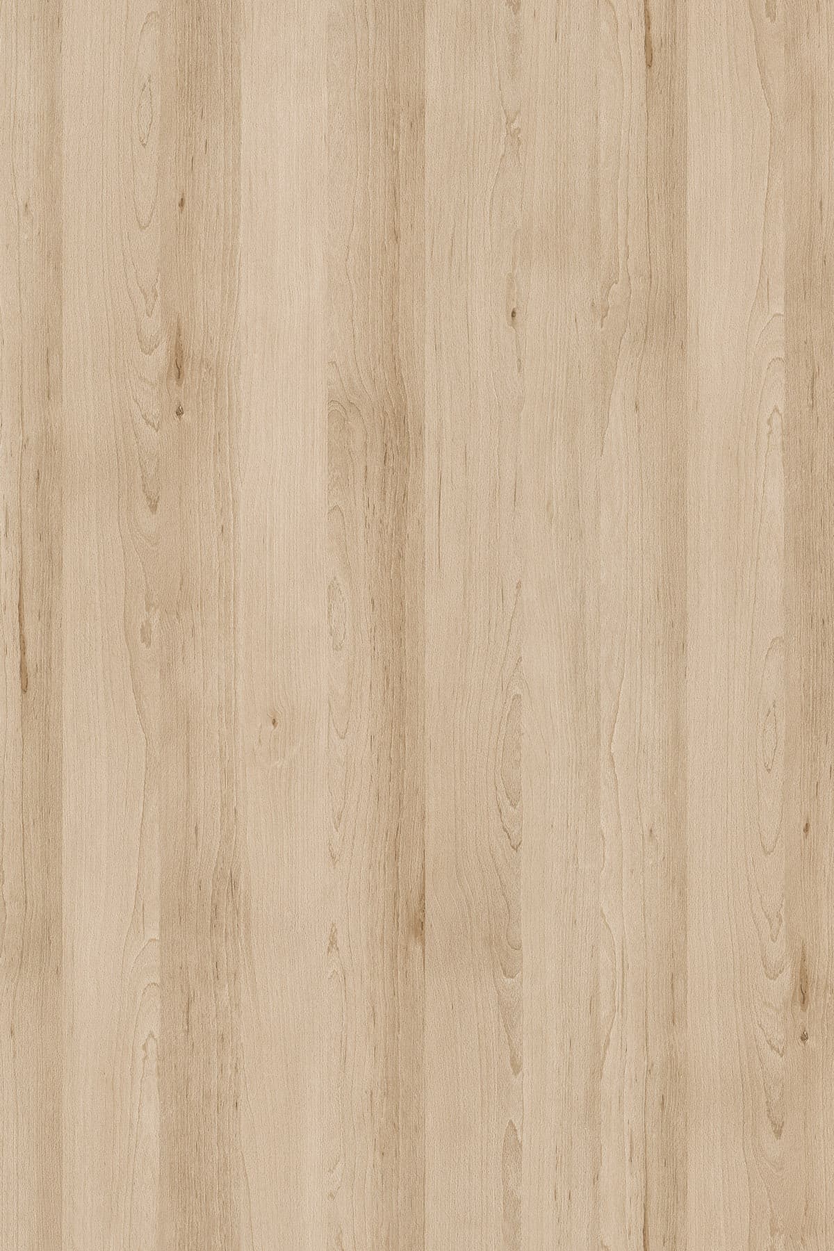 Kronospan Sand Artisan Beech K013 TFL surface pattern