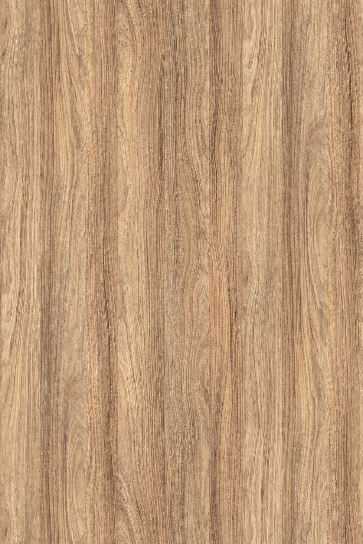 Kronospan Barley Blackwood K021 TFL surface pattern