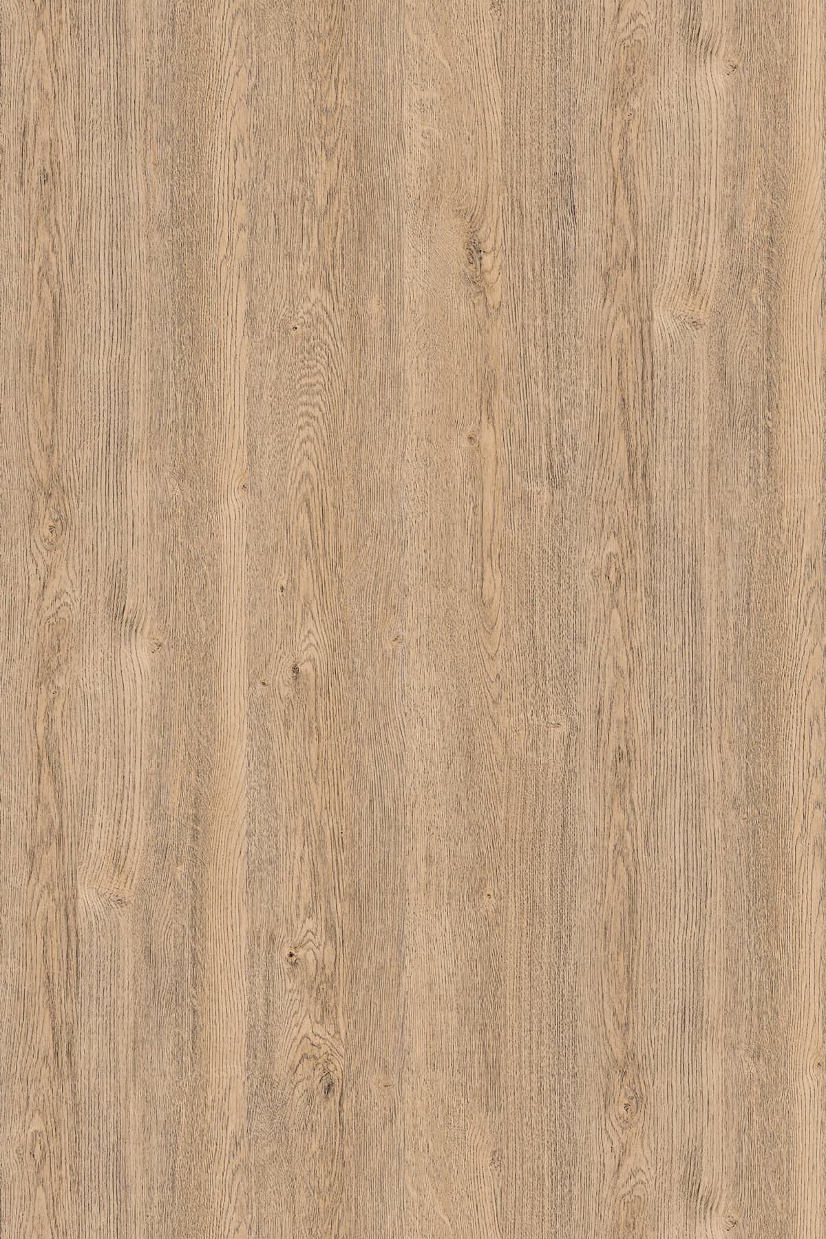 Kronospan Sand Expressive Oak K076 TFL surface pattern