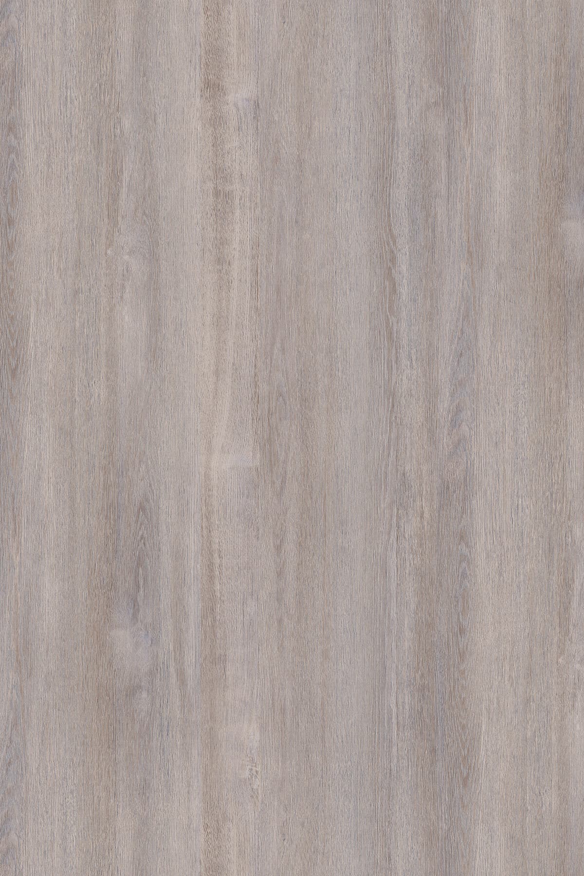 Kronospan Grey Clubhouse Oak K079 TFL surface pattern