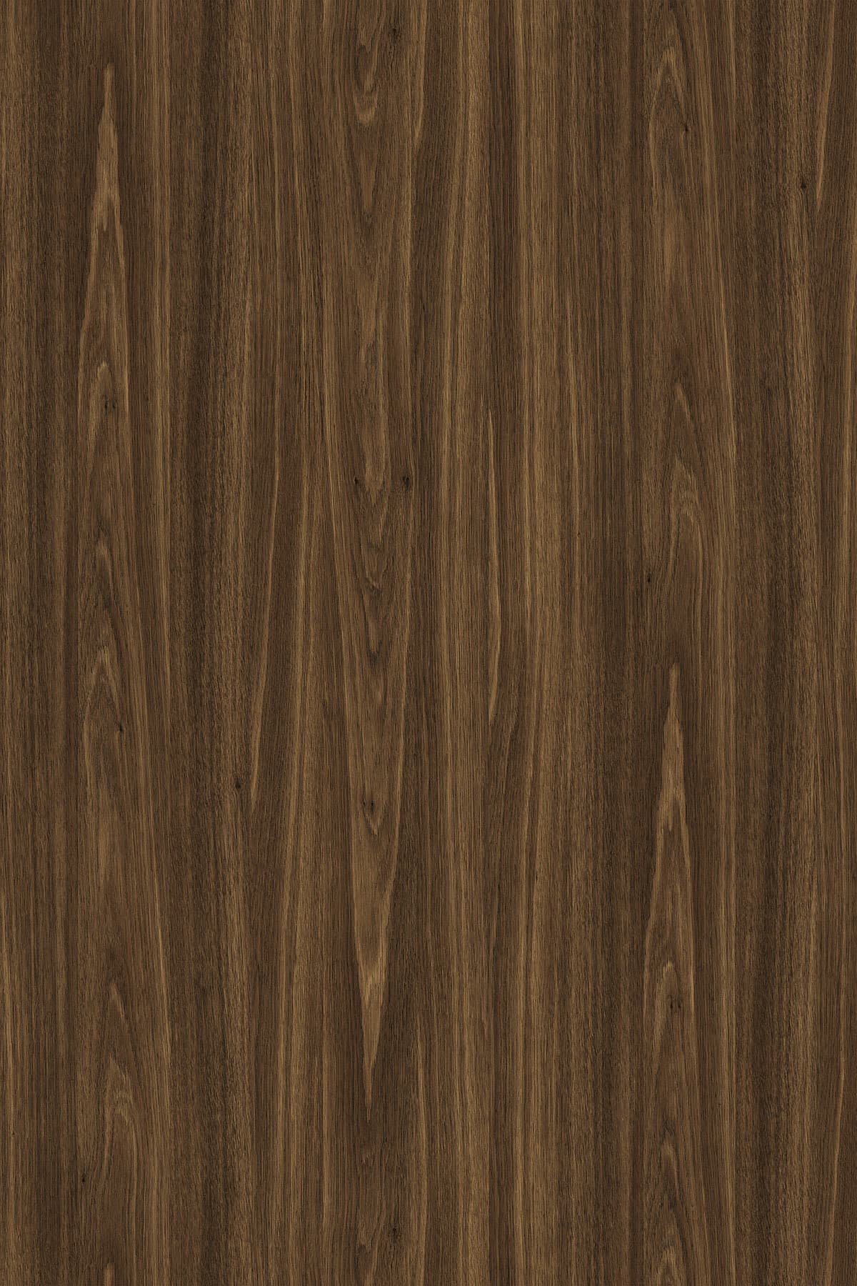 Kronospan Bourbon Oak K082 TFL surface pattern