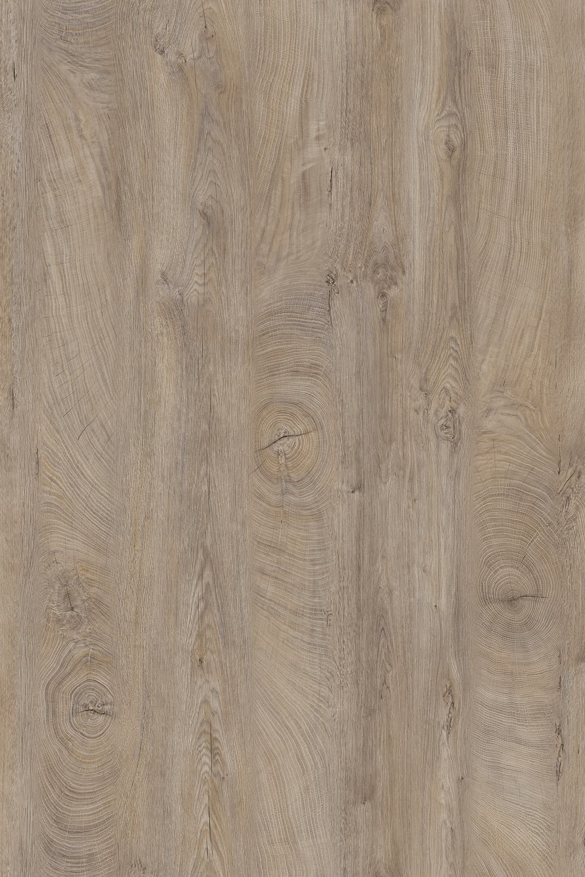 Kronospan Raw Endgrain Oak K105 TFL surface pattern