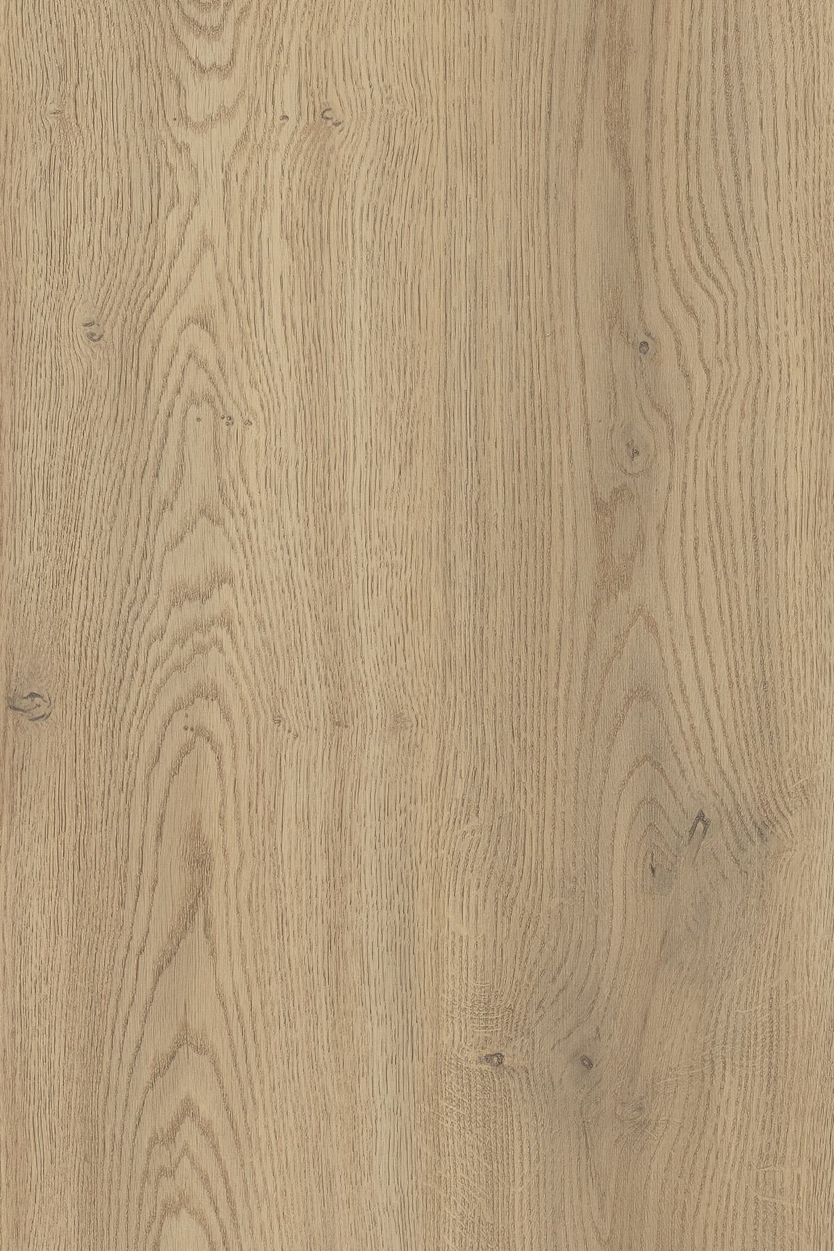 Kronospan Torro Cremona Oak K2738 TFL surface pattern