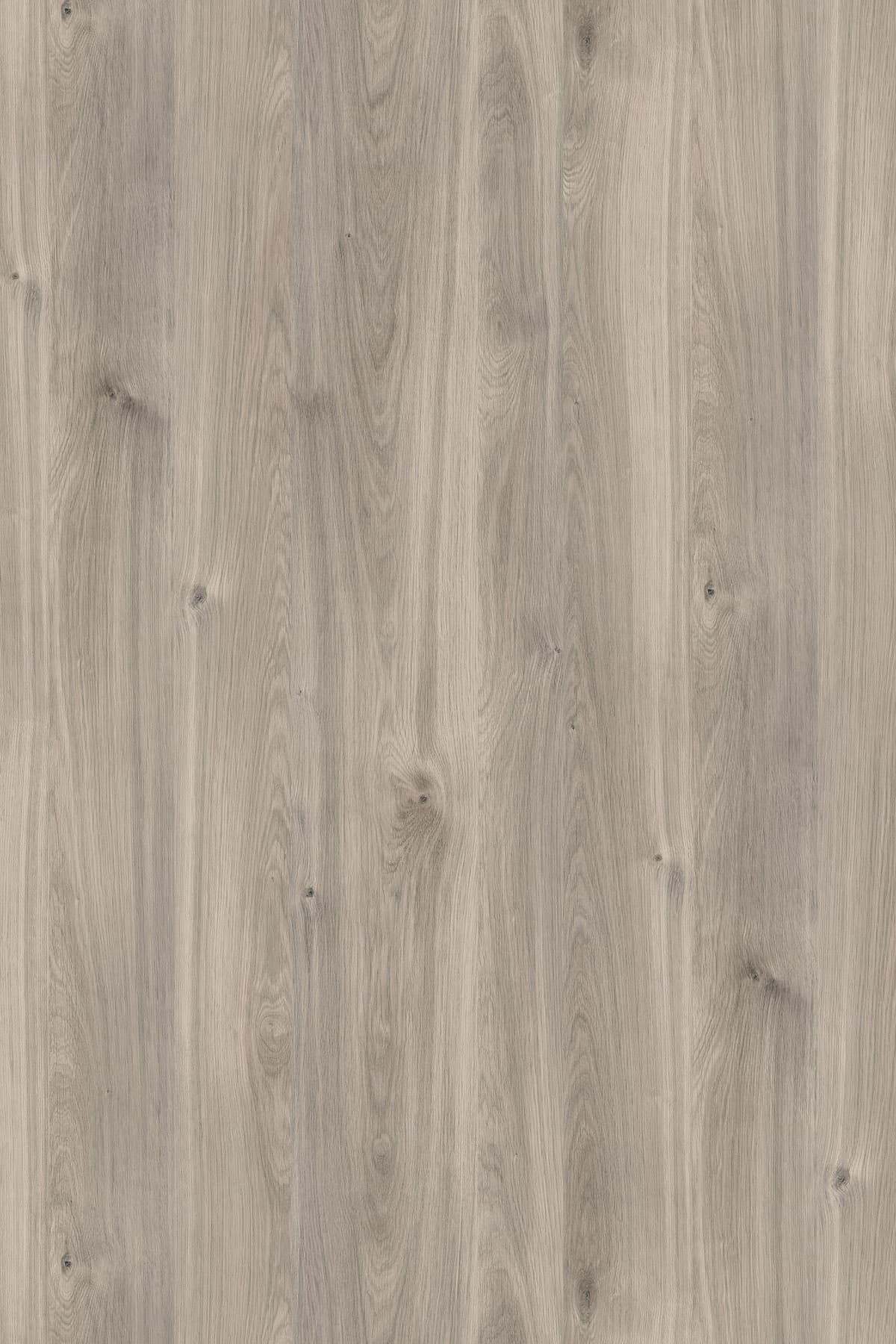 Kronospan Greige Castello Oak K357 TFL surface pattern