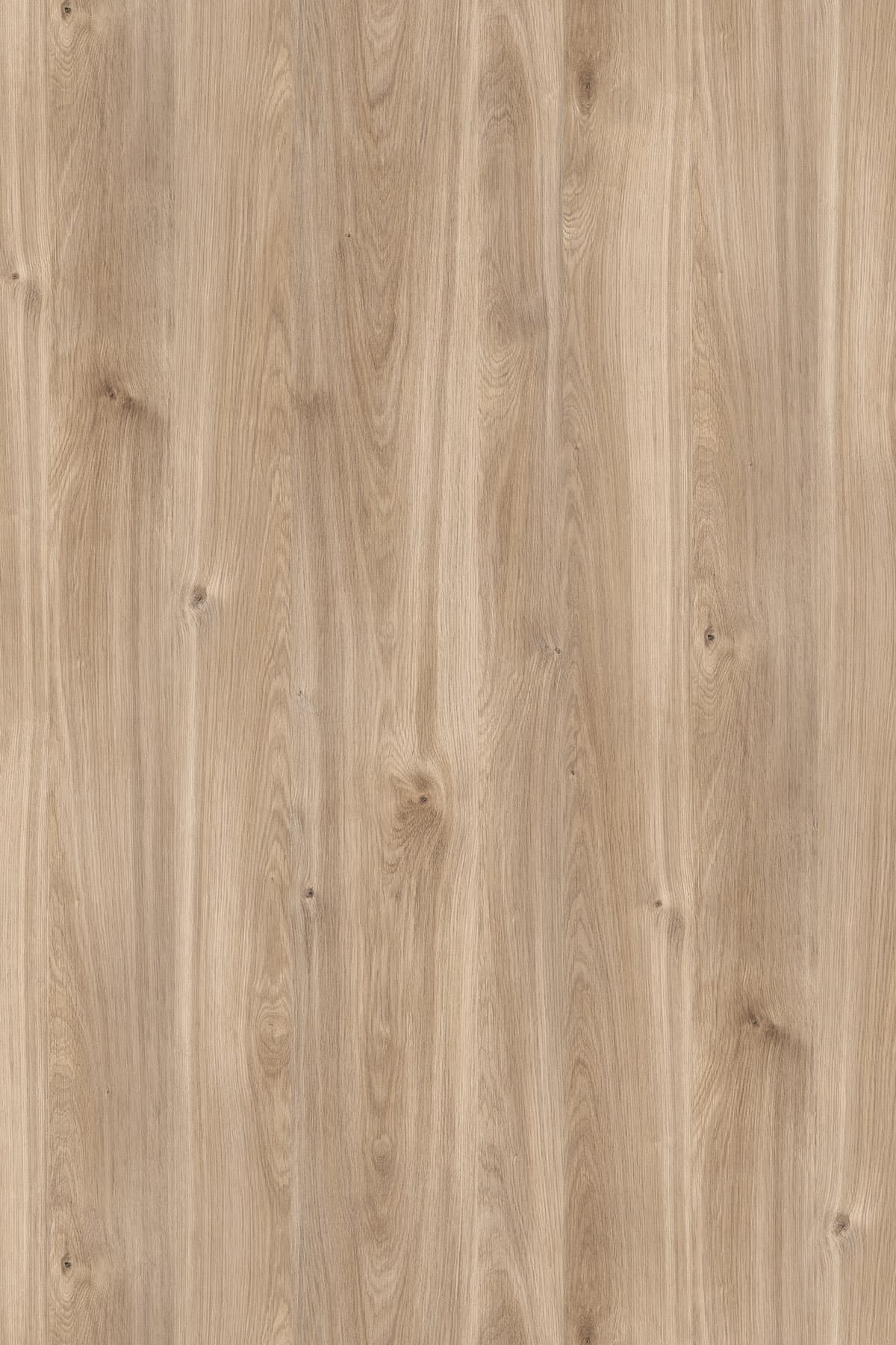 Kronospan Honey Castello Oak K358 TFL surface pattern