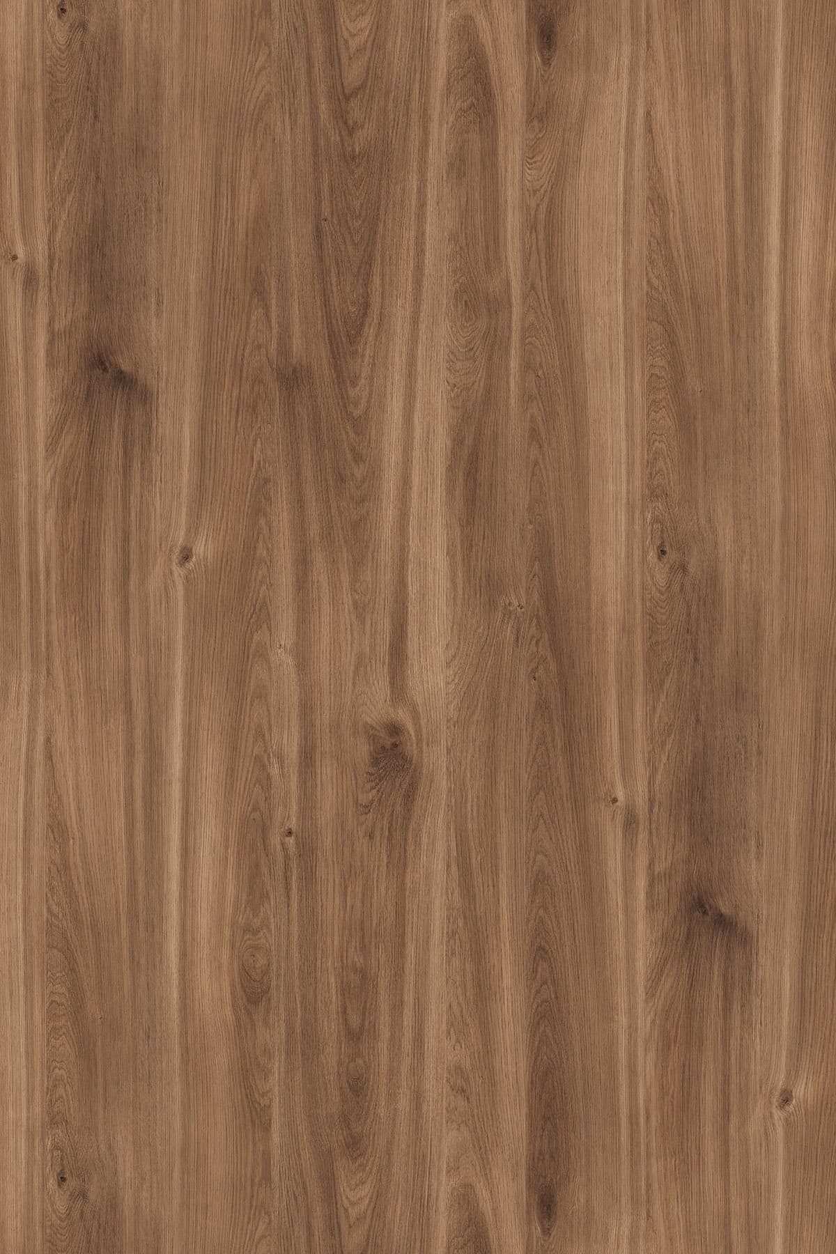 Kronospan Brandy Castello Oak K359 TFL surface pattern